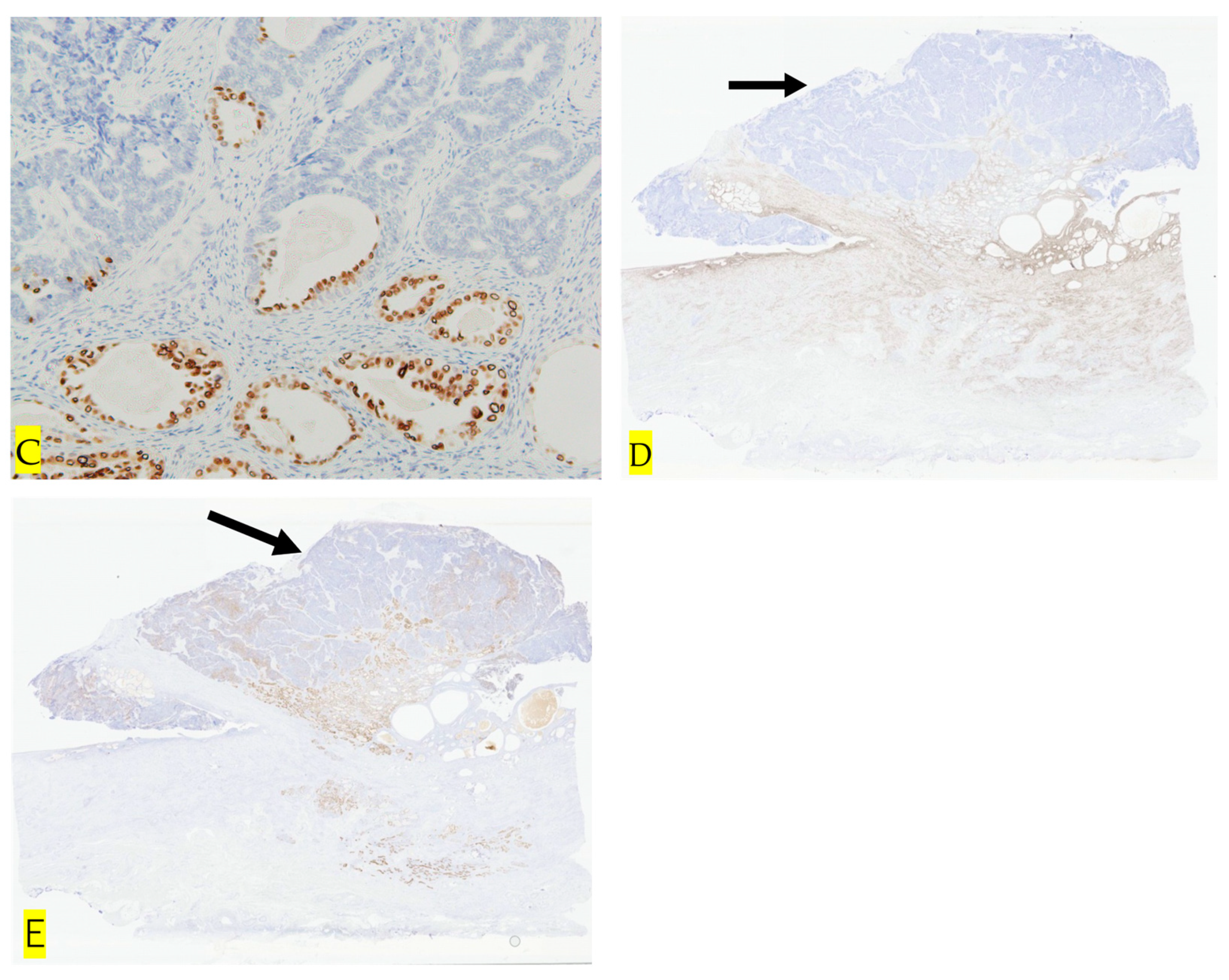 Diseases 12 00282 g006b