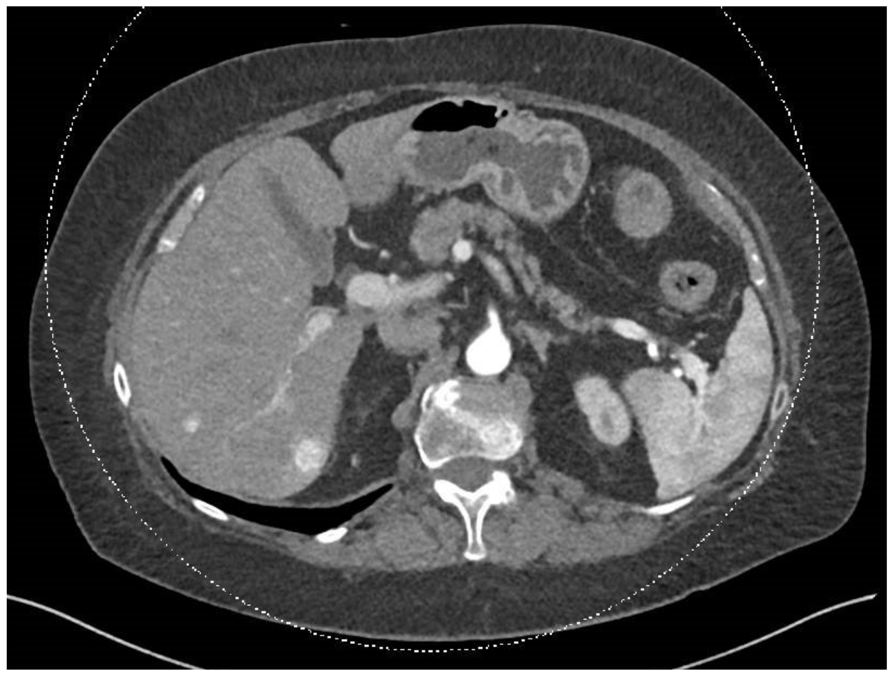 Diseases 12 00290 g001