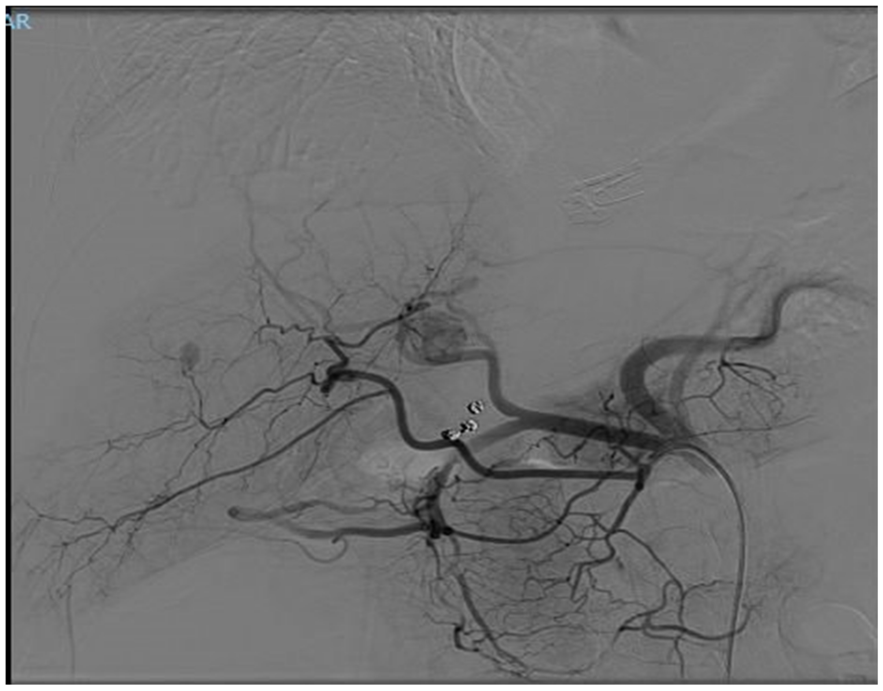 Diseases 12 00290 g002