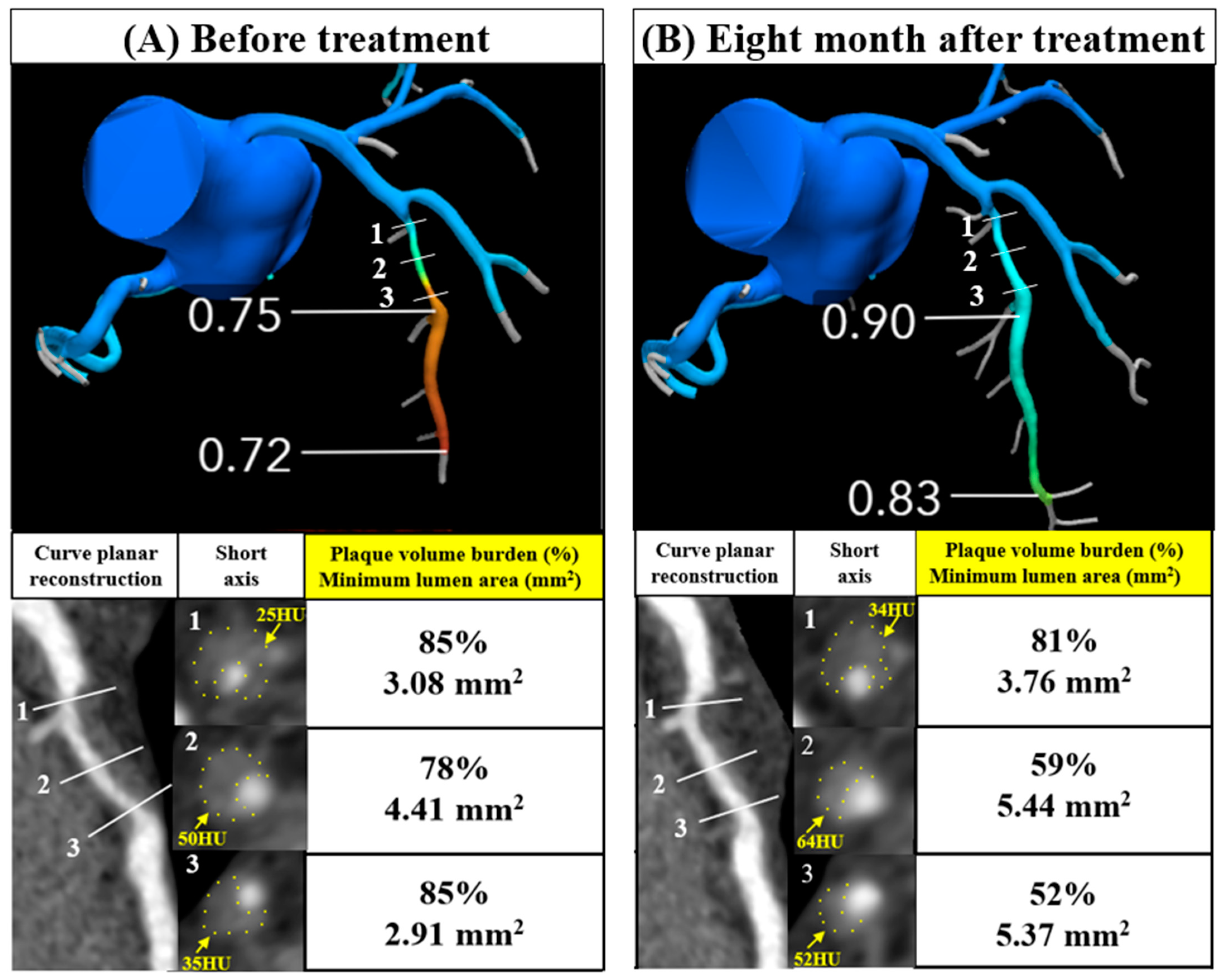 Diseases 12 00297 g001