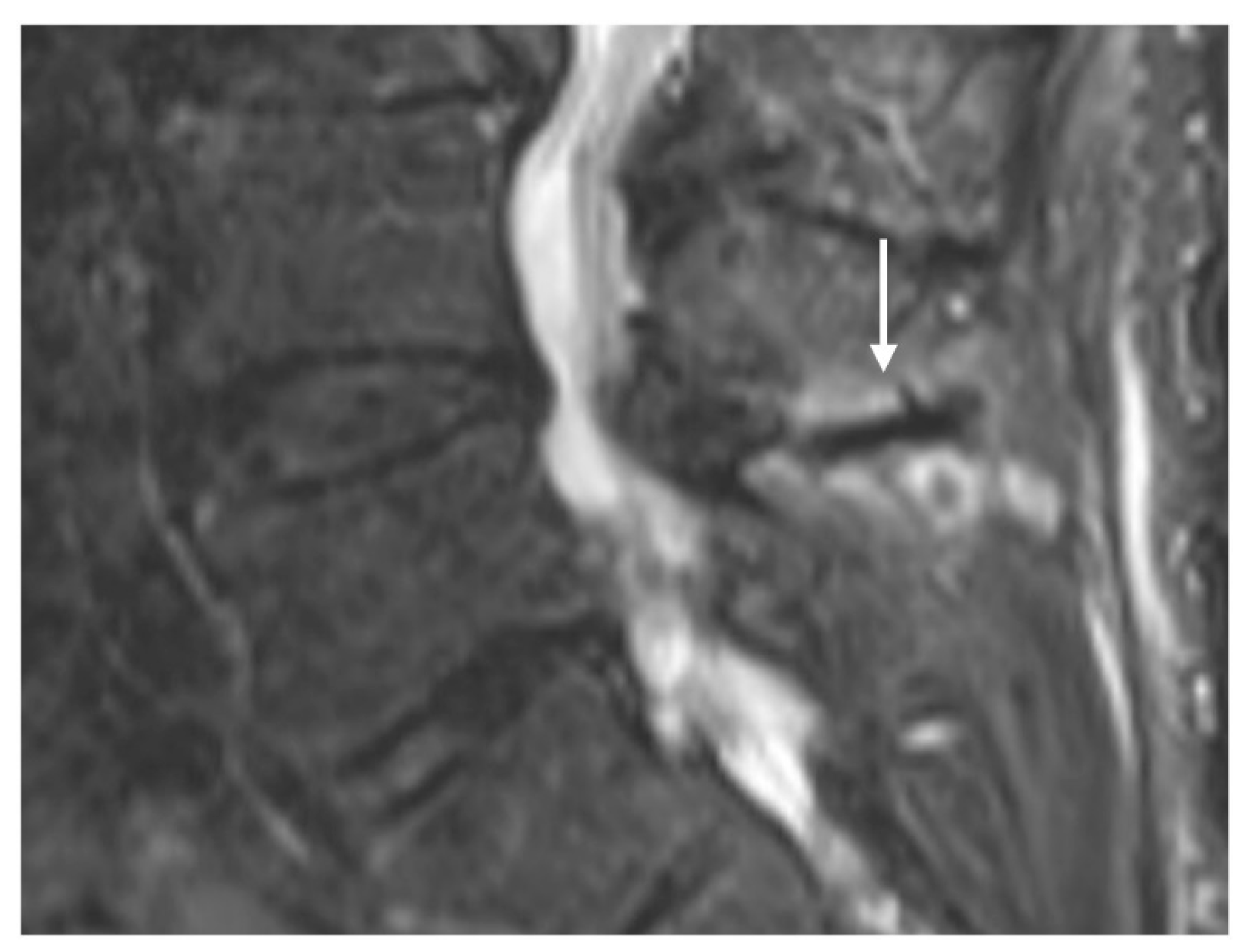 Diseases 12 00302 g001