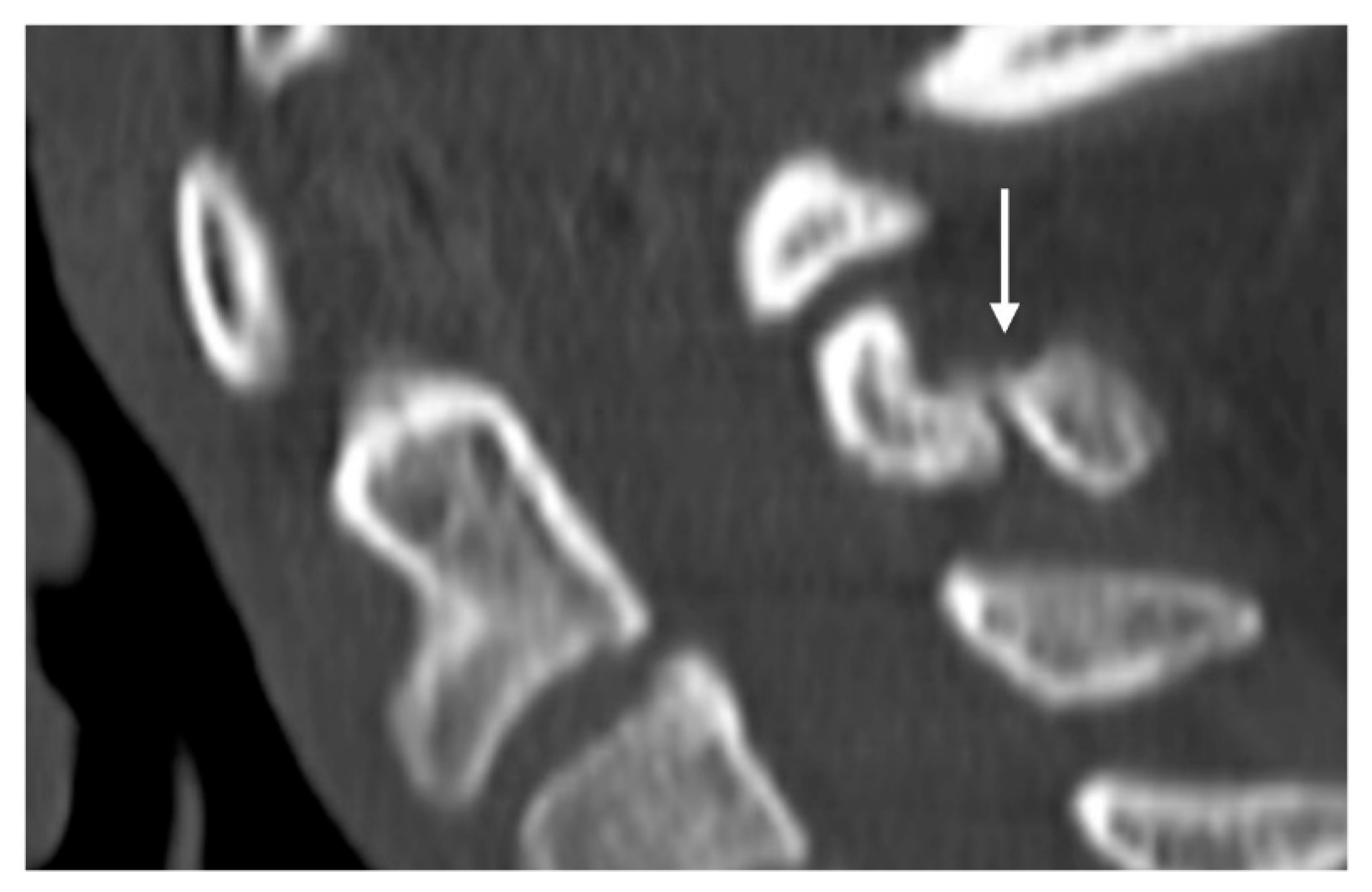 Diseases 12 00302 g008