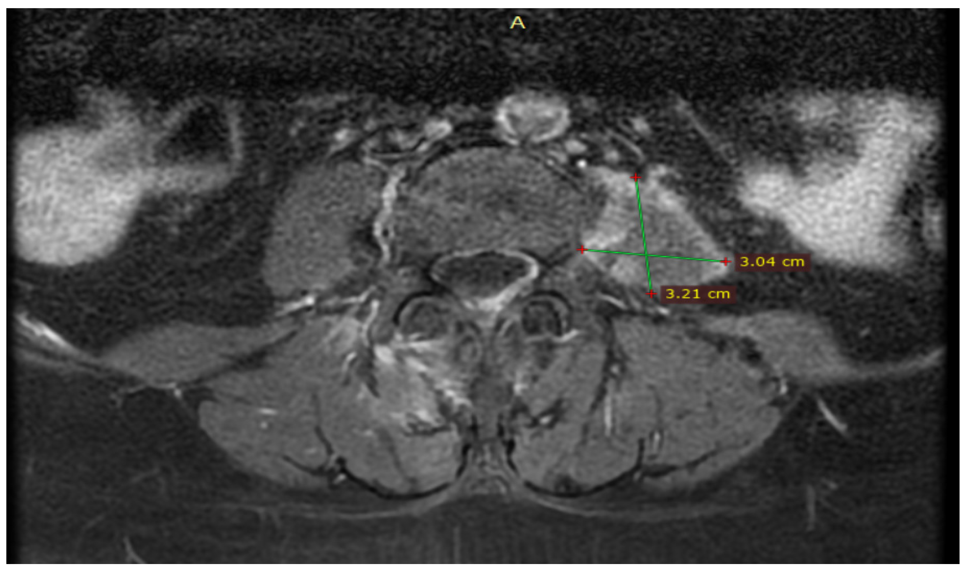 Diseases 12 00326 g006