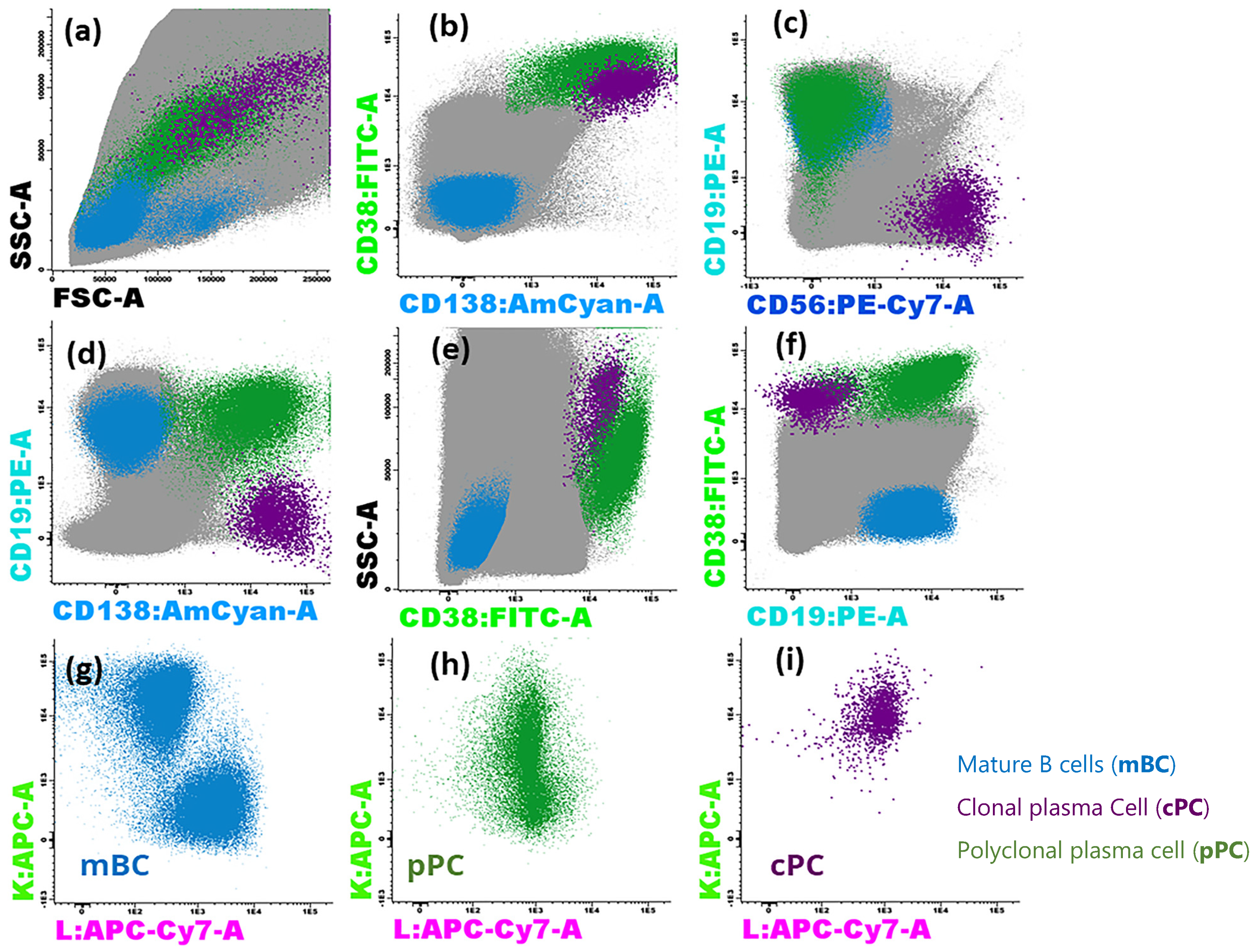 Diseases 12 00338 g002 Diseases 12 00338 g002