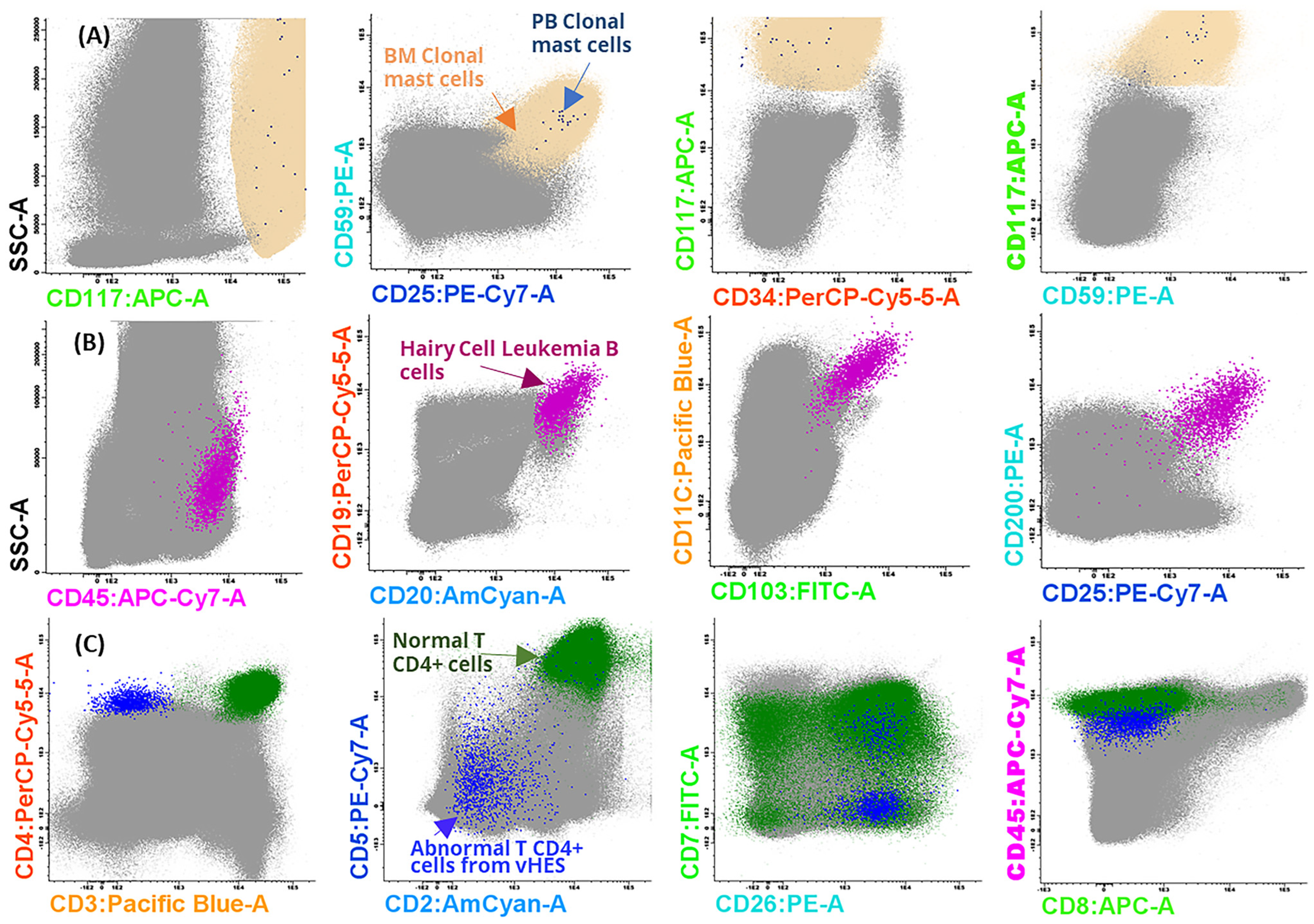 Diseases 12 00338 g005 Diseases 12 00338 g005