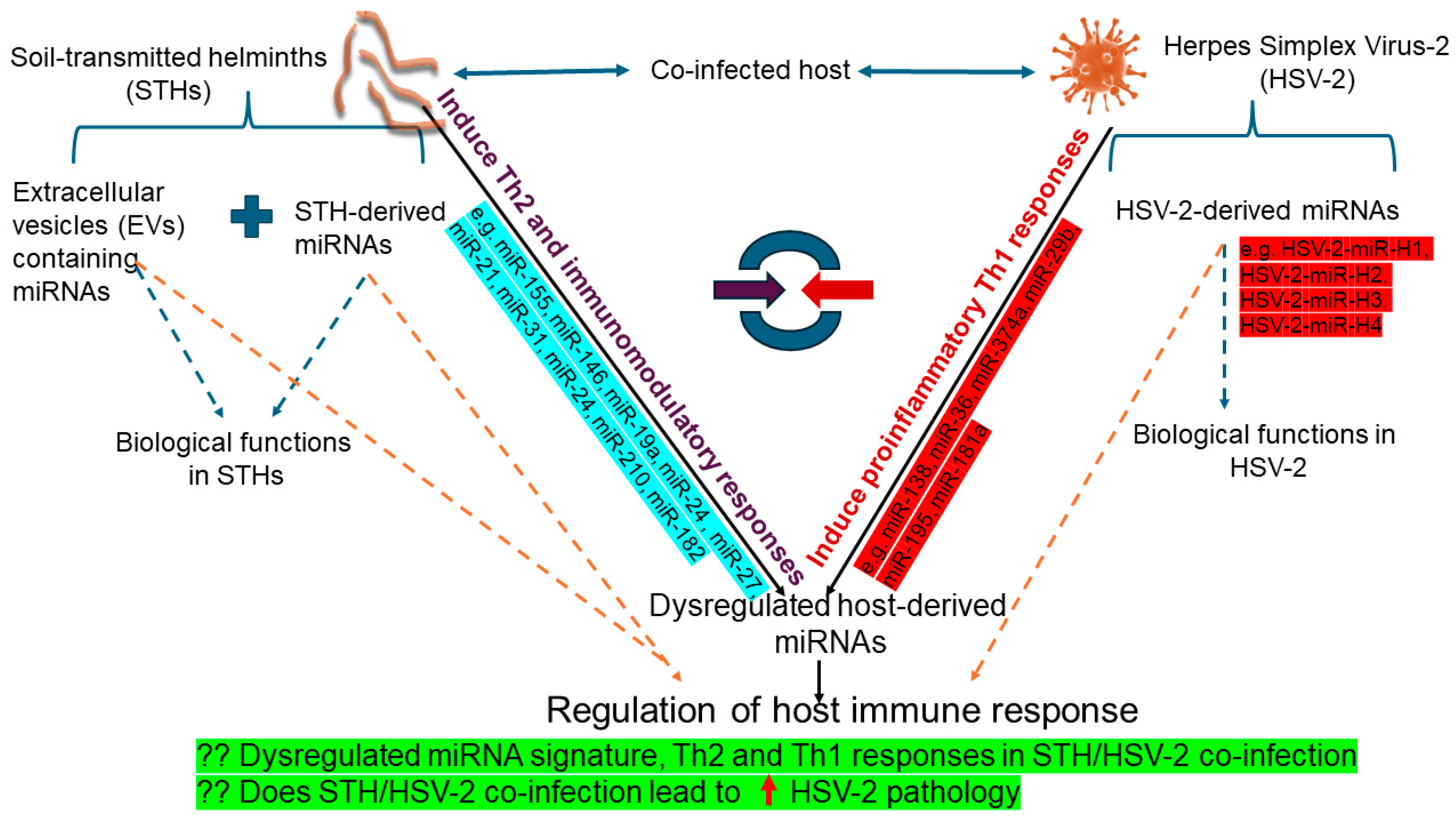 Diseases 13 00006 g002