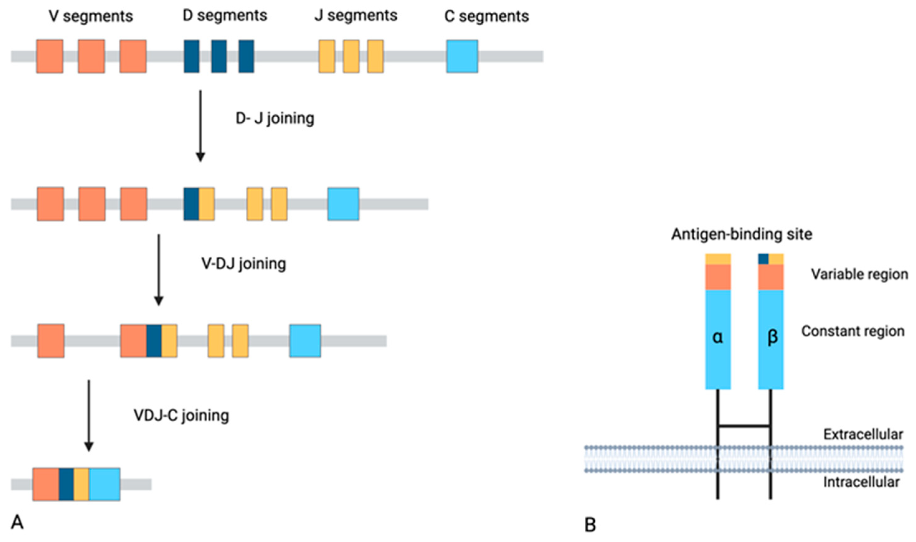 Diseases 13 00019 g001
