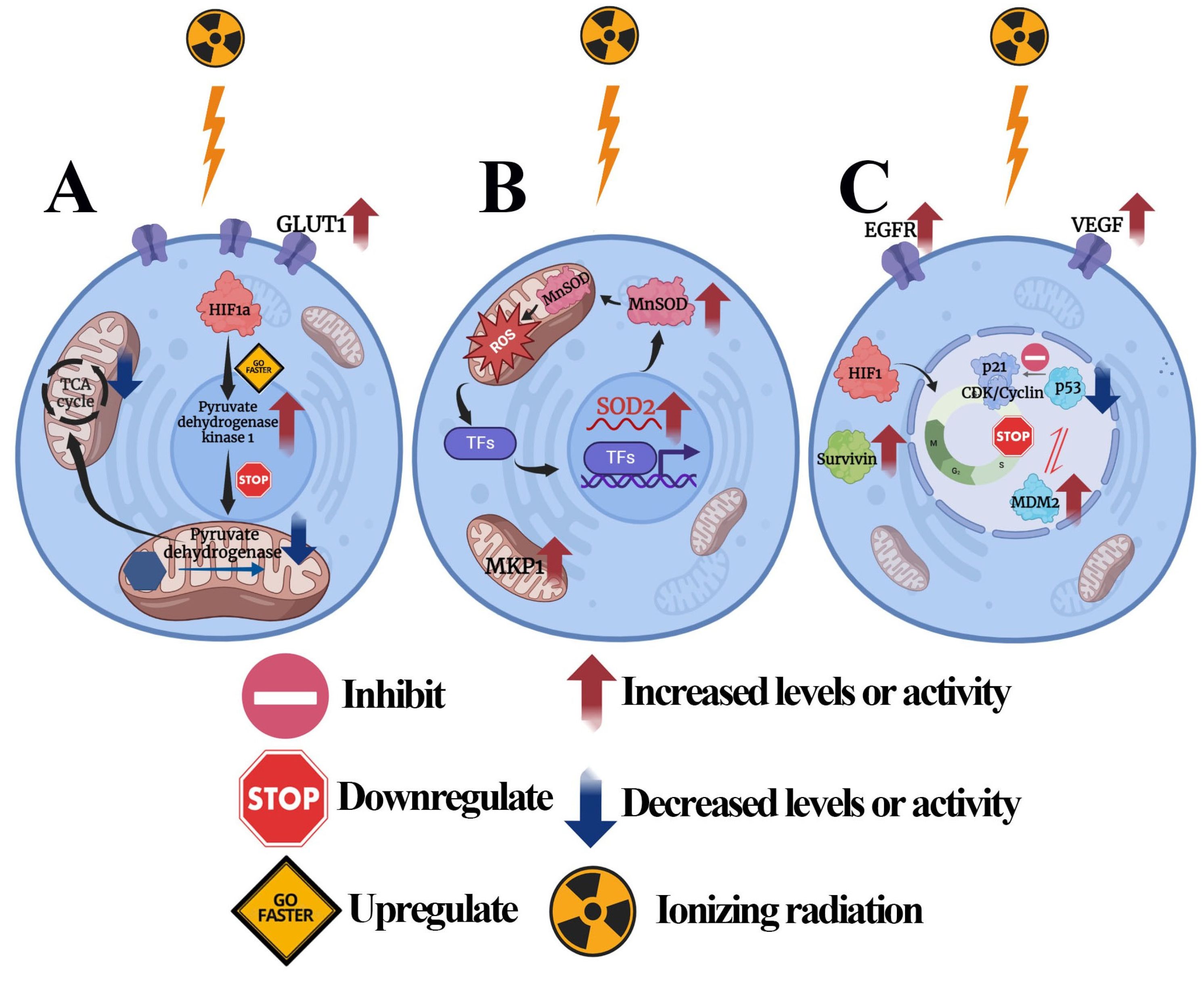 Diseases 13 00022 g001