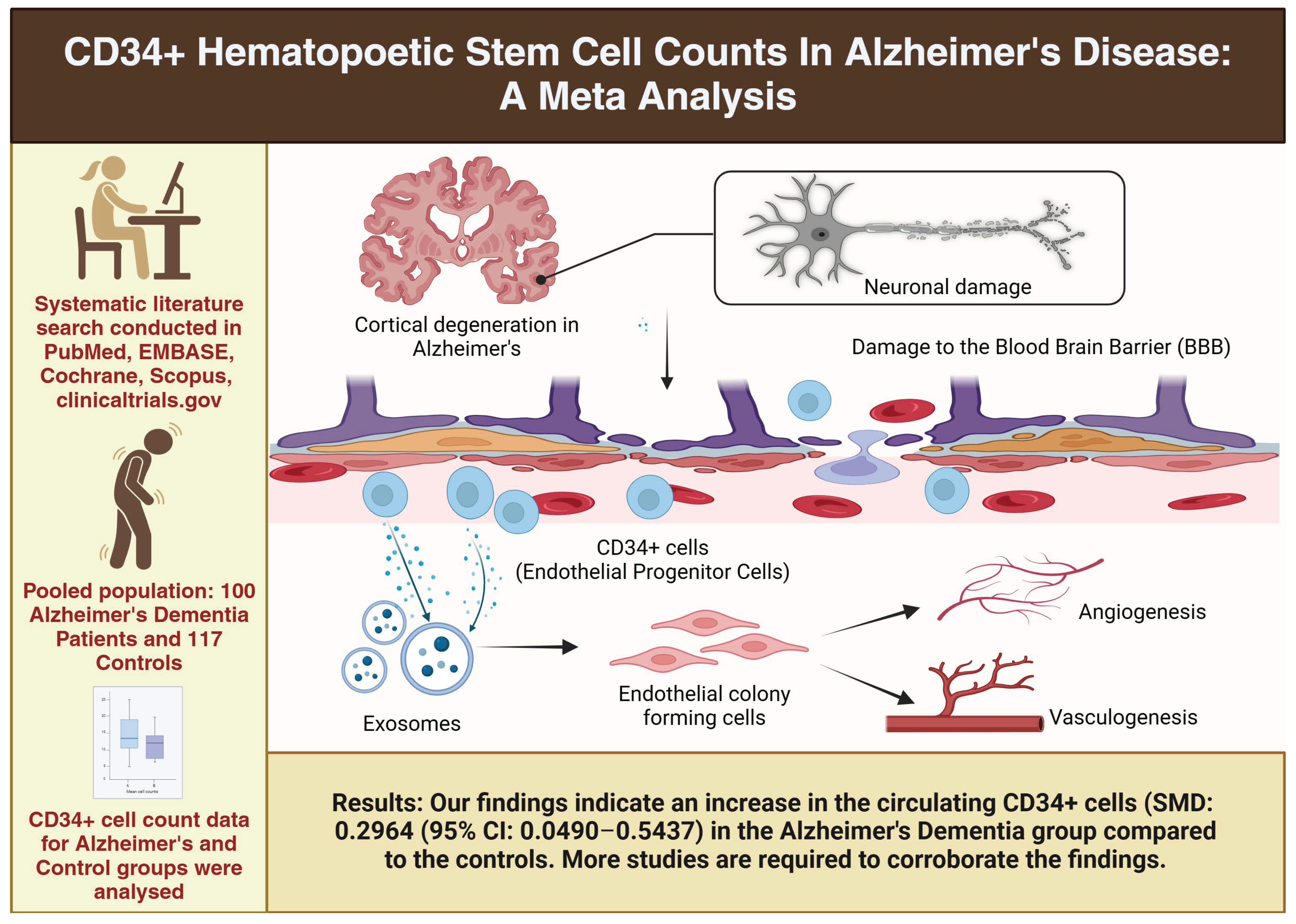 Diseases 13 00025 g004