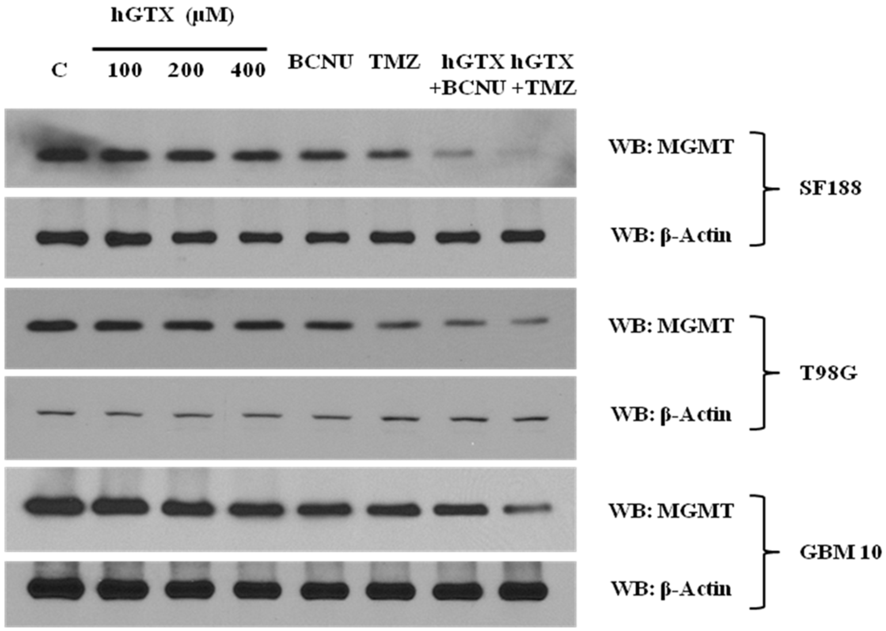 Diseases 13 00032 g003