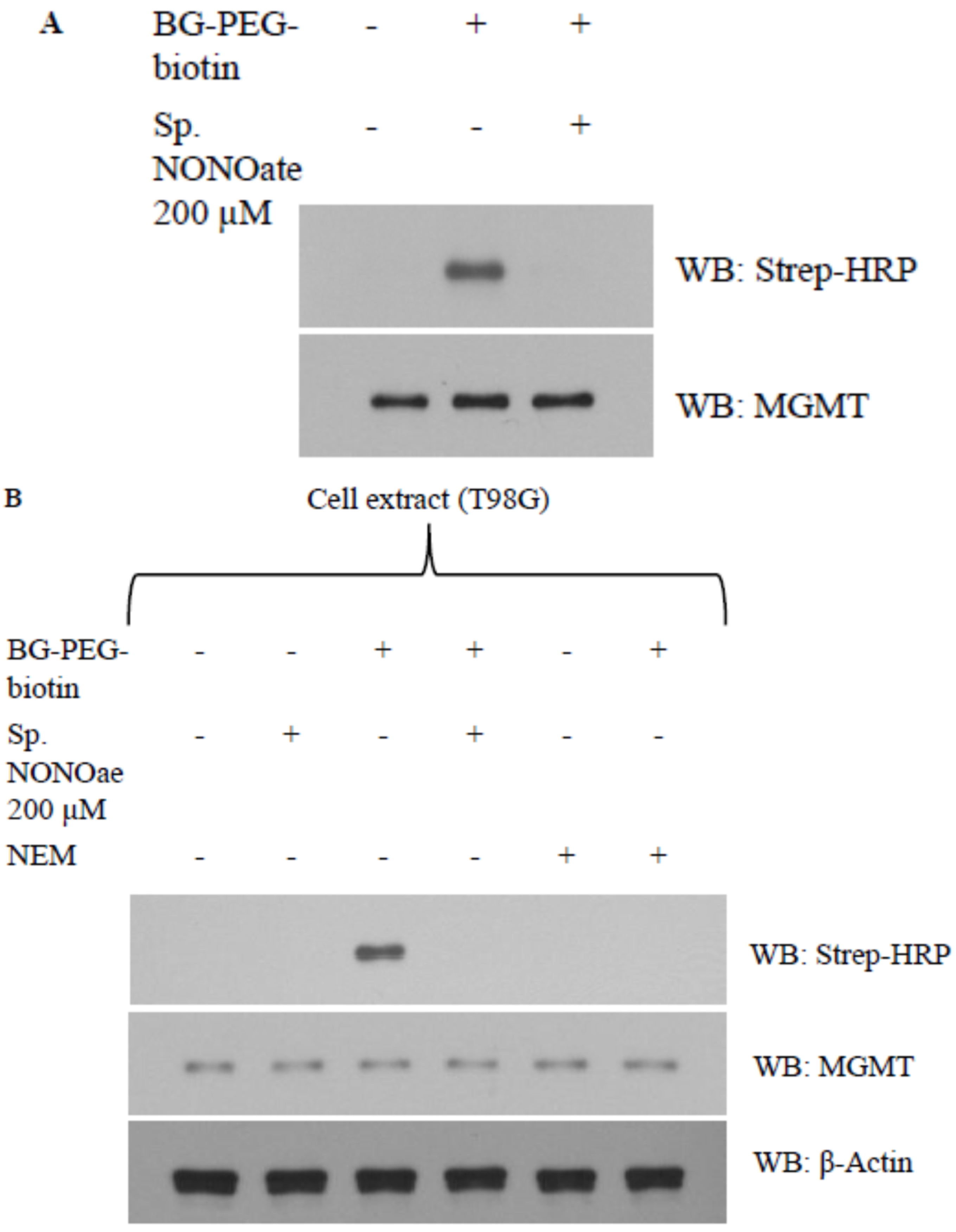 Diseases 13 00032 g007