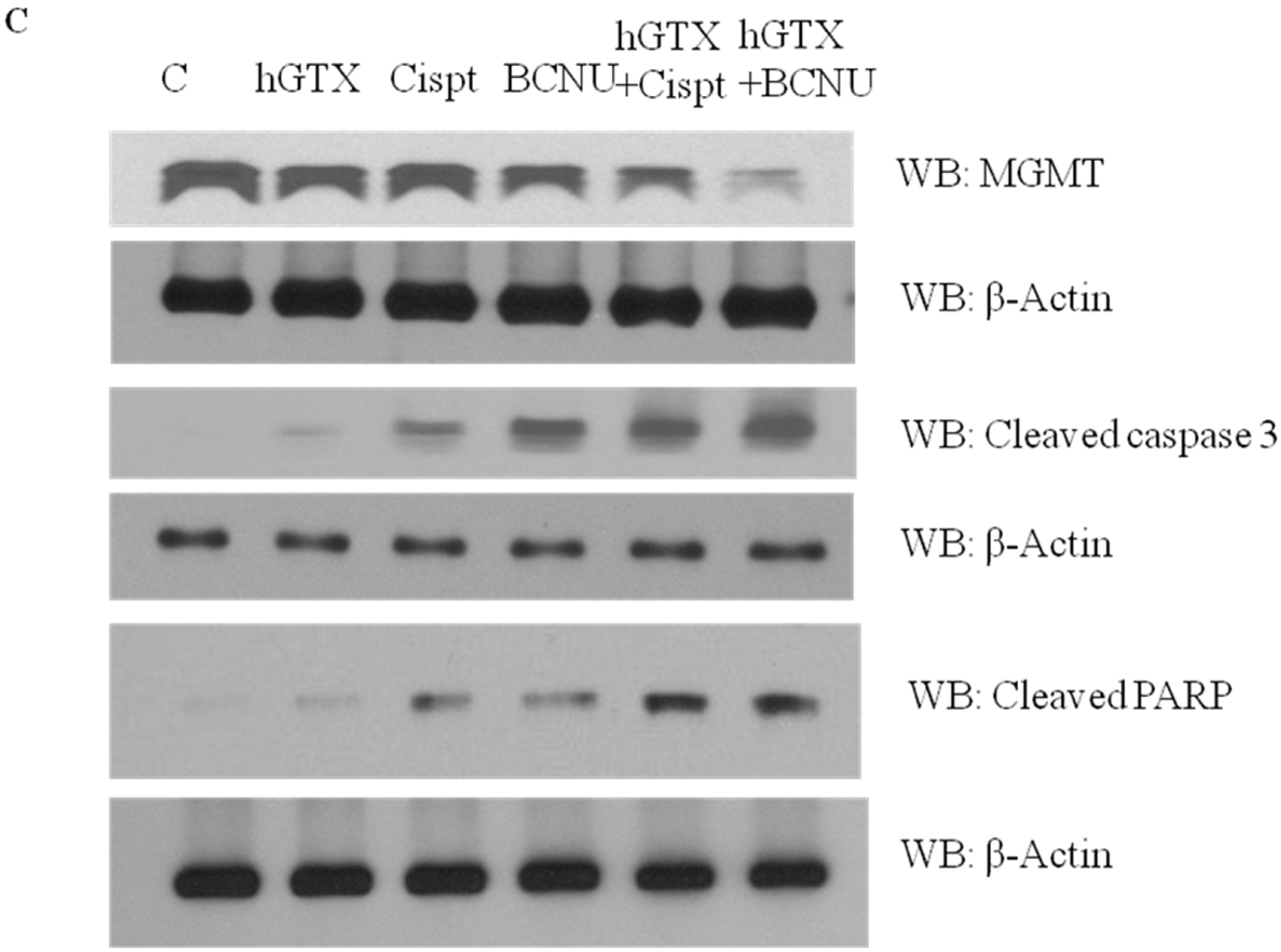 Diseases 13 00032 g012b