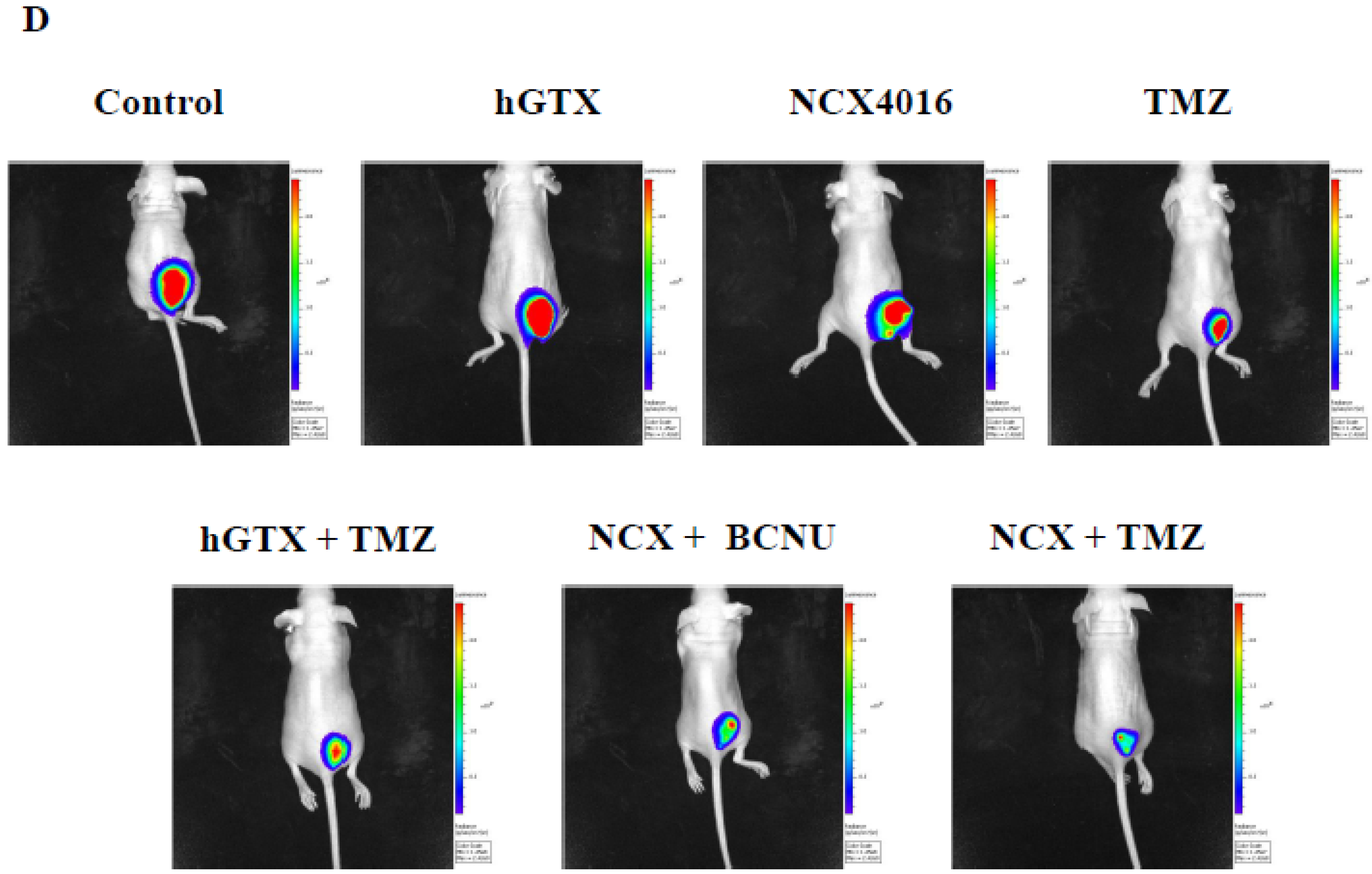 Diseases 13 00032 g013b