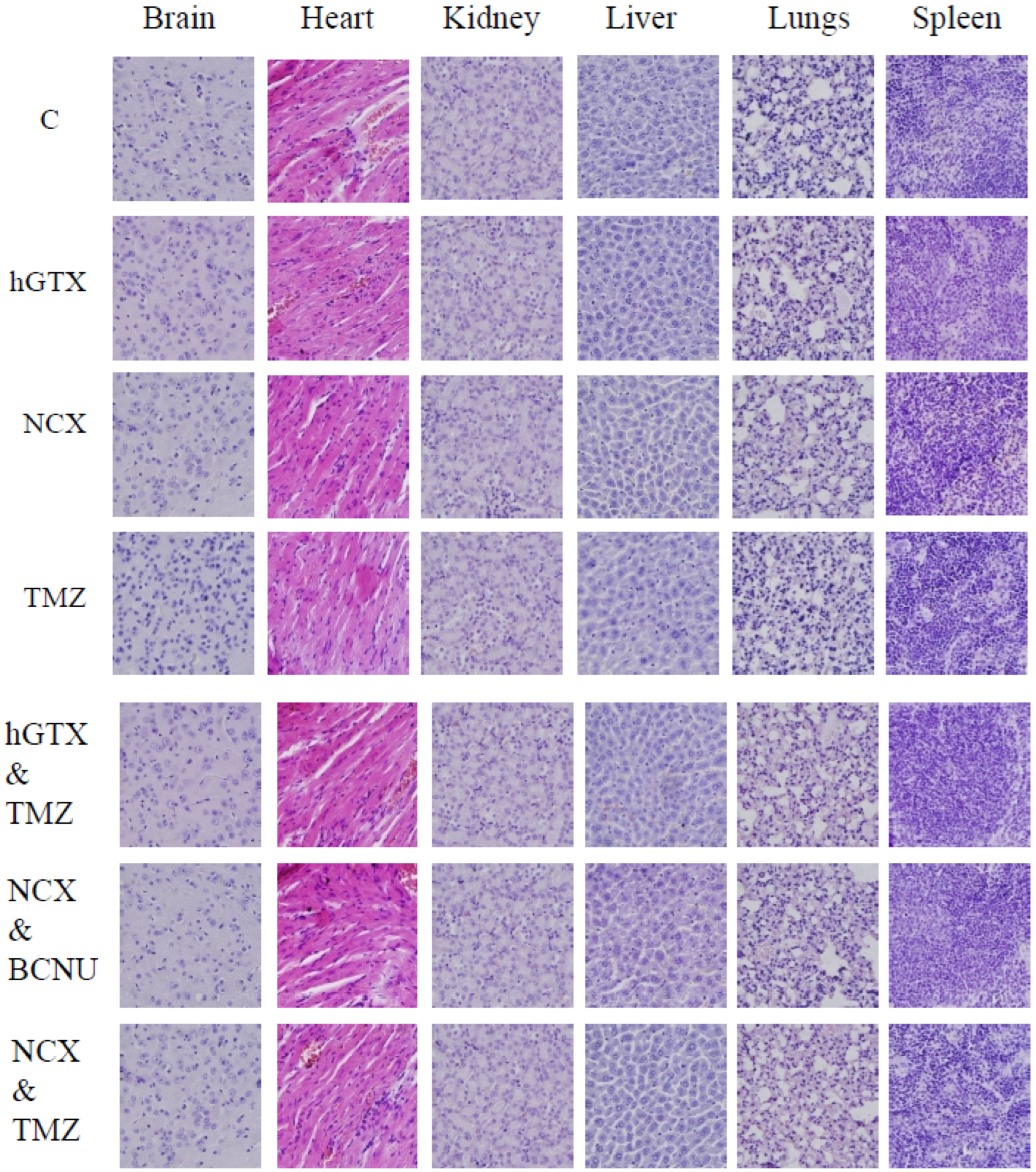 Diseases 13 00032 g015