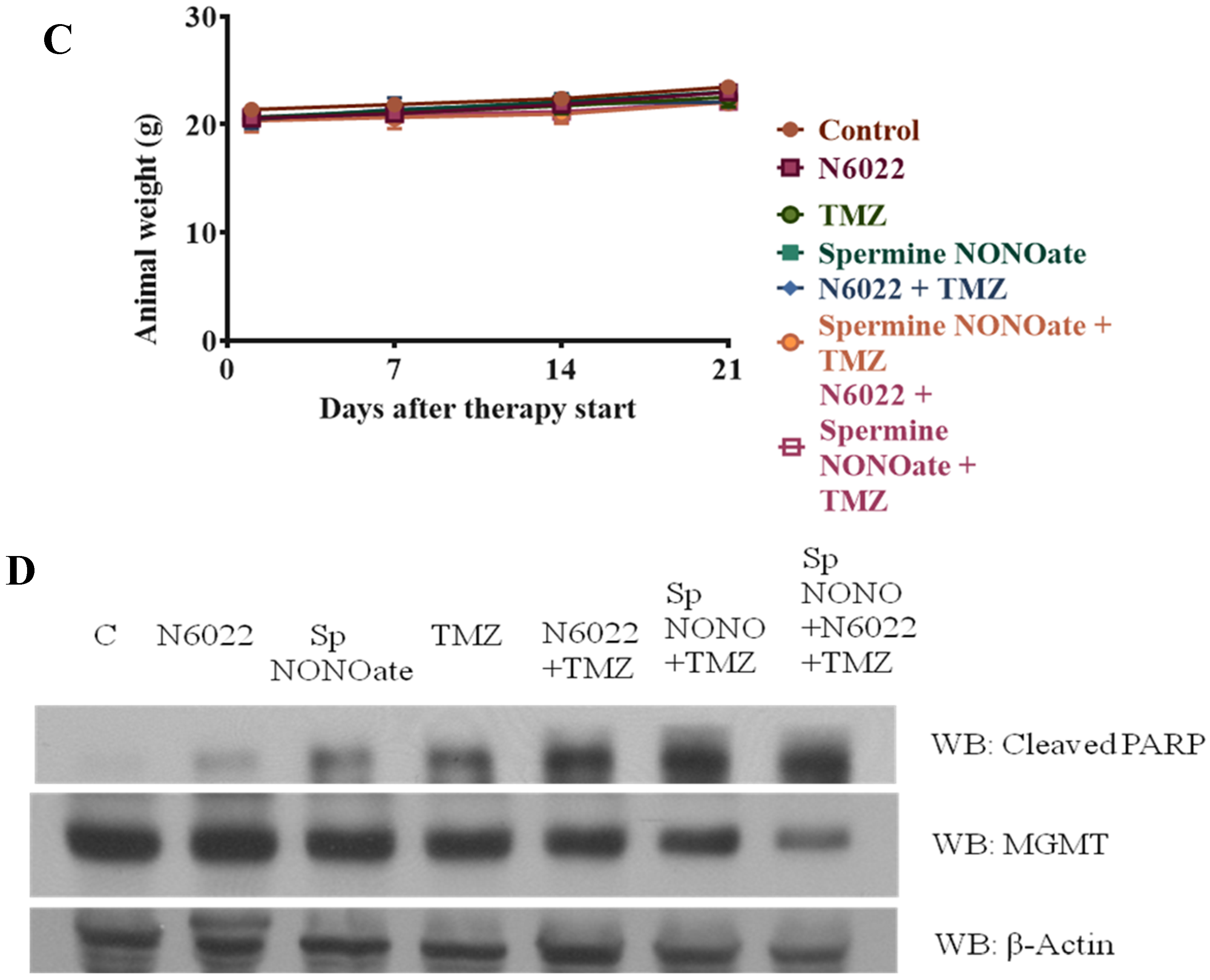 Diseases 13 00032 g016b