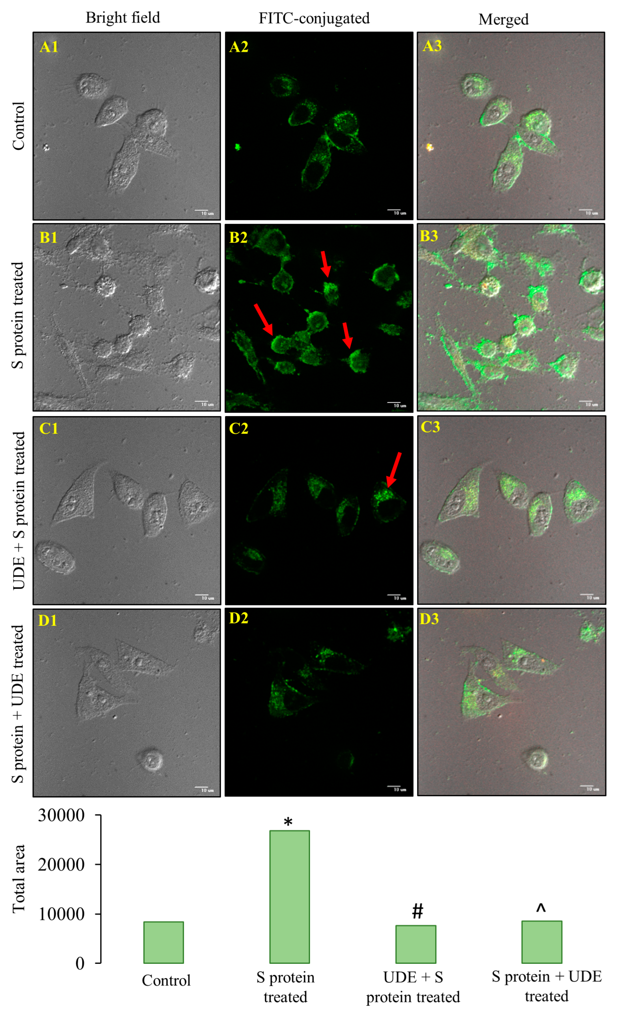 Diseases 13 00036 g004