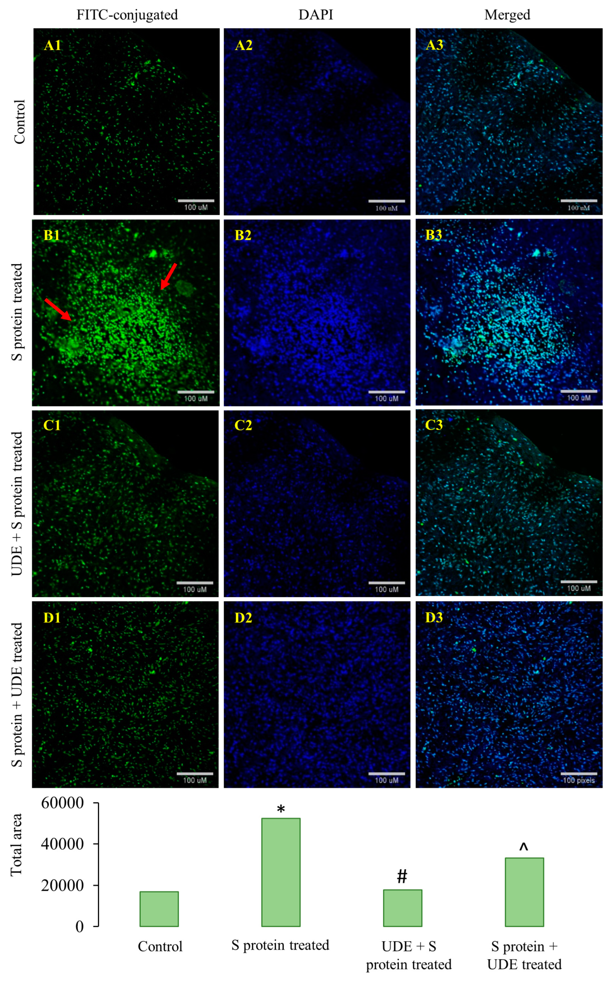 Diseases 13 00036 g010