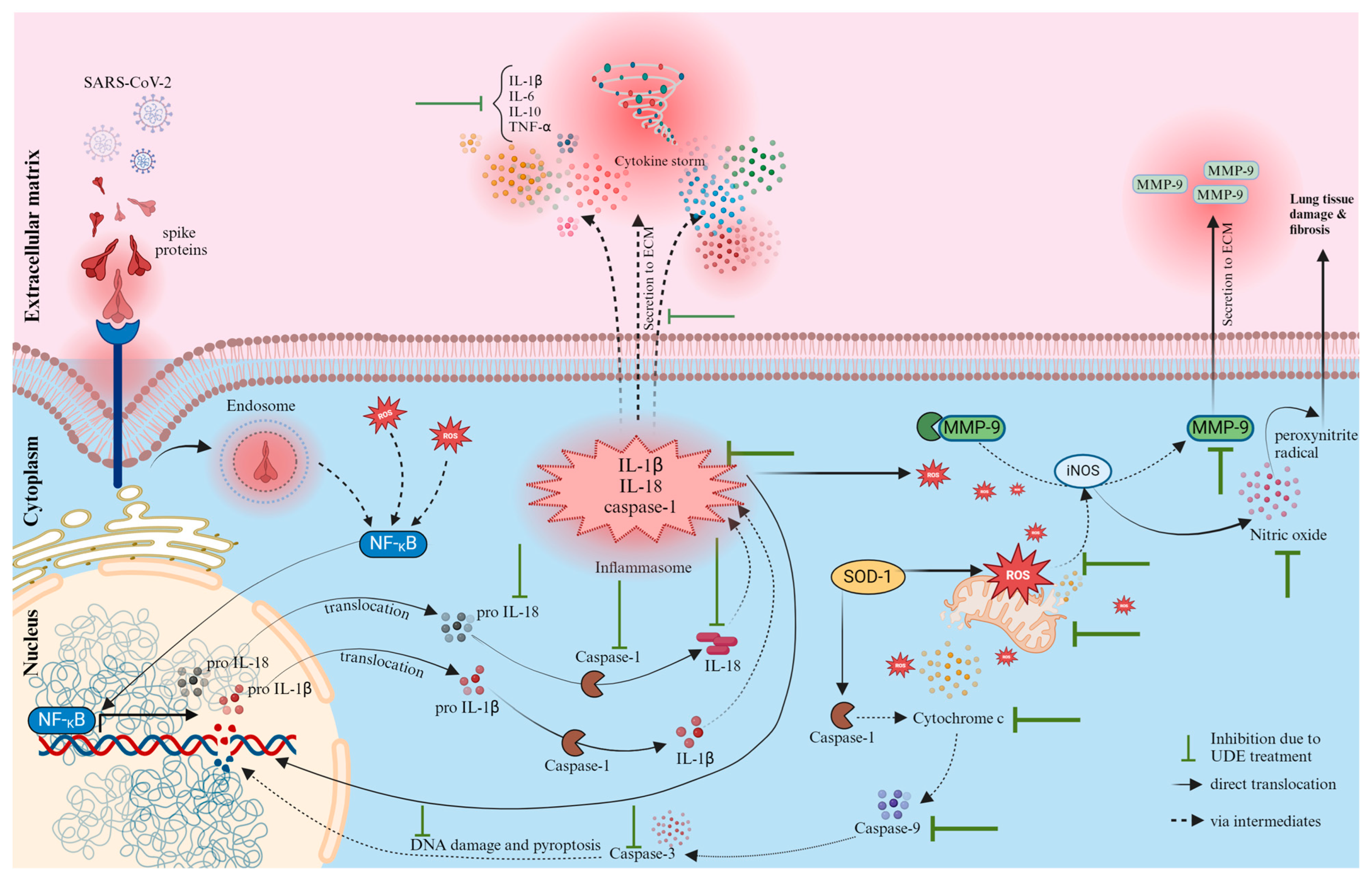 Diseases 13 00036 g011