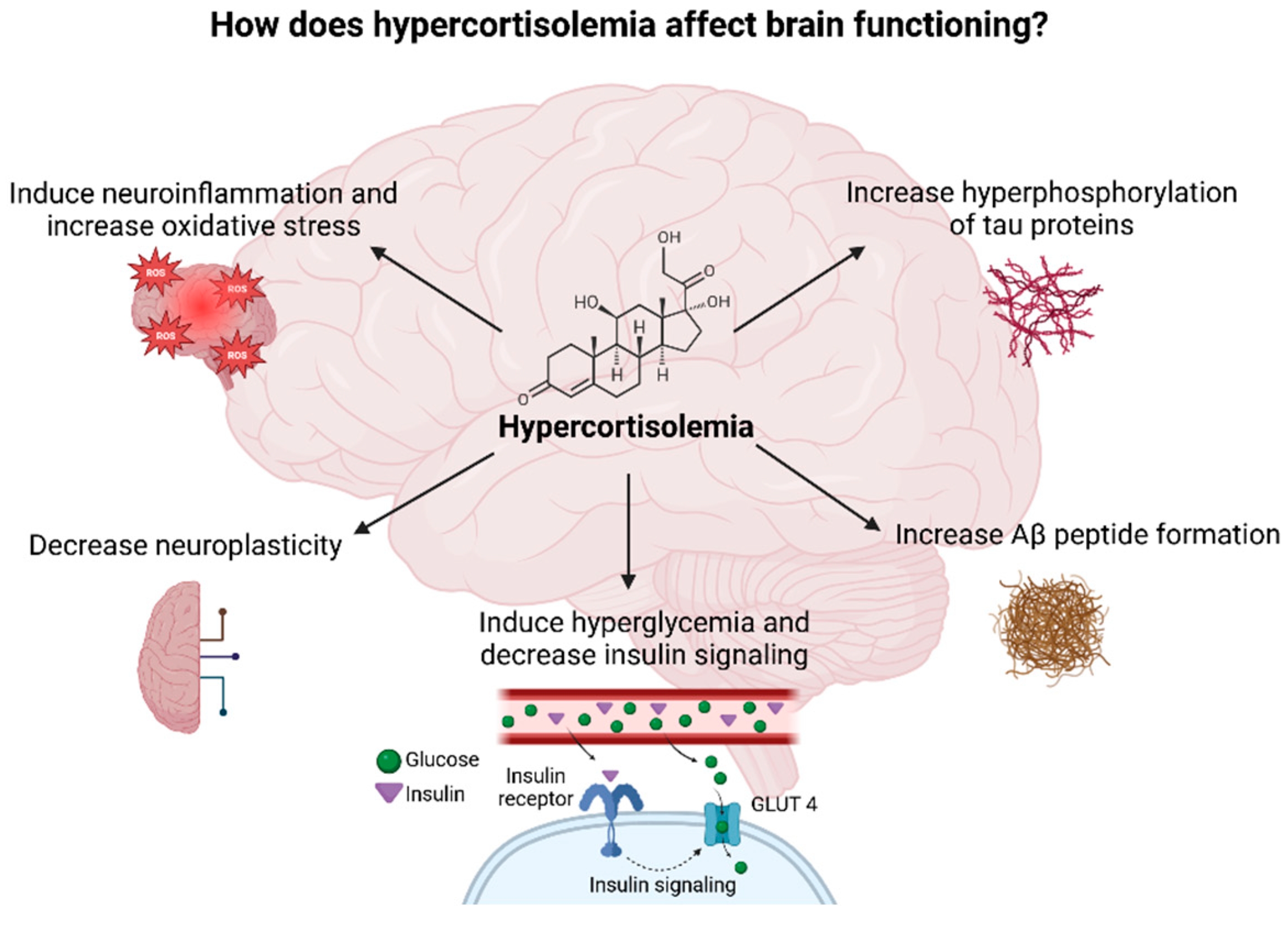 Diseases 13 00042 g007