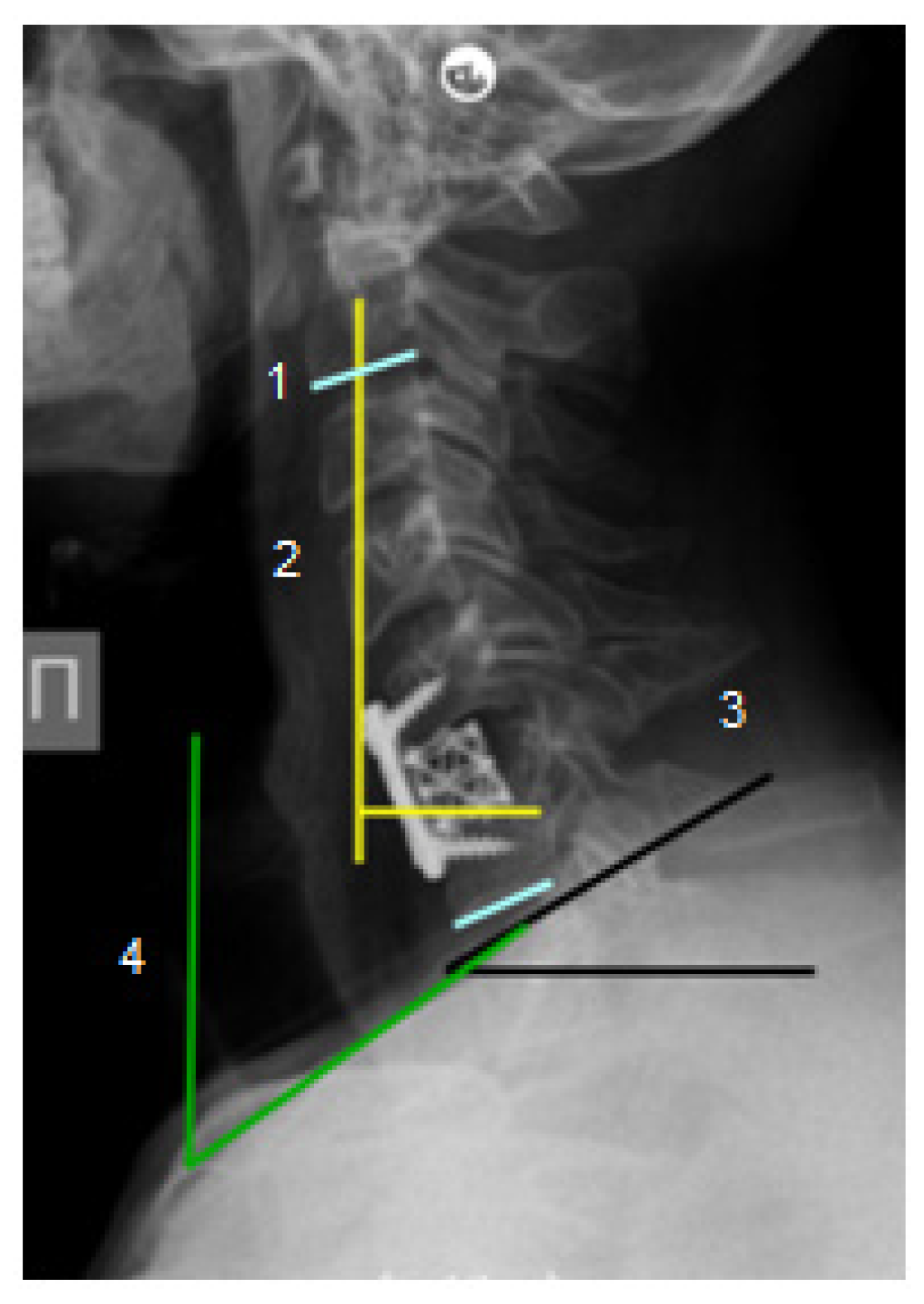 Diseases 13 00049 g001