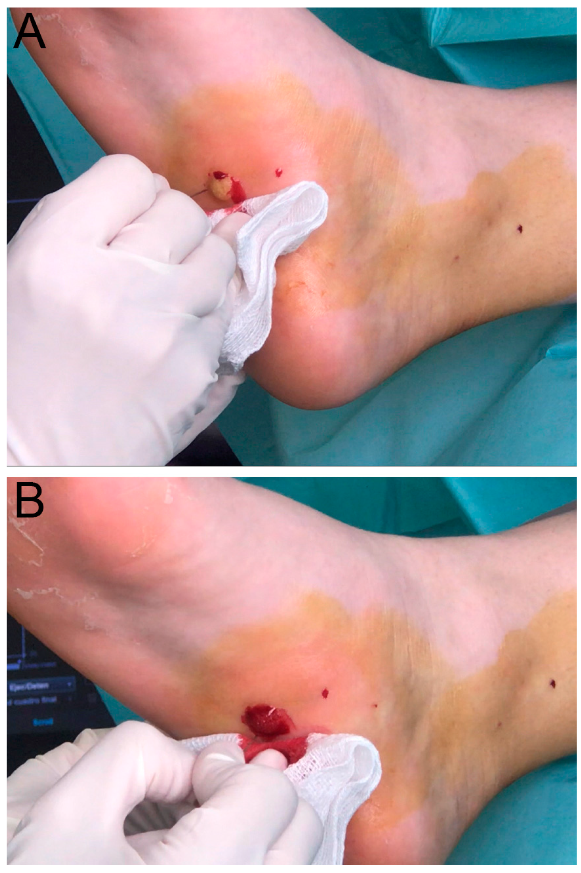 Diseases 13 00050 g002