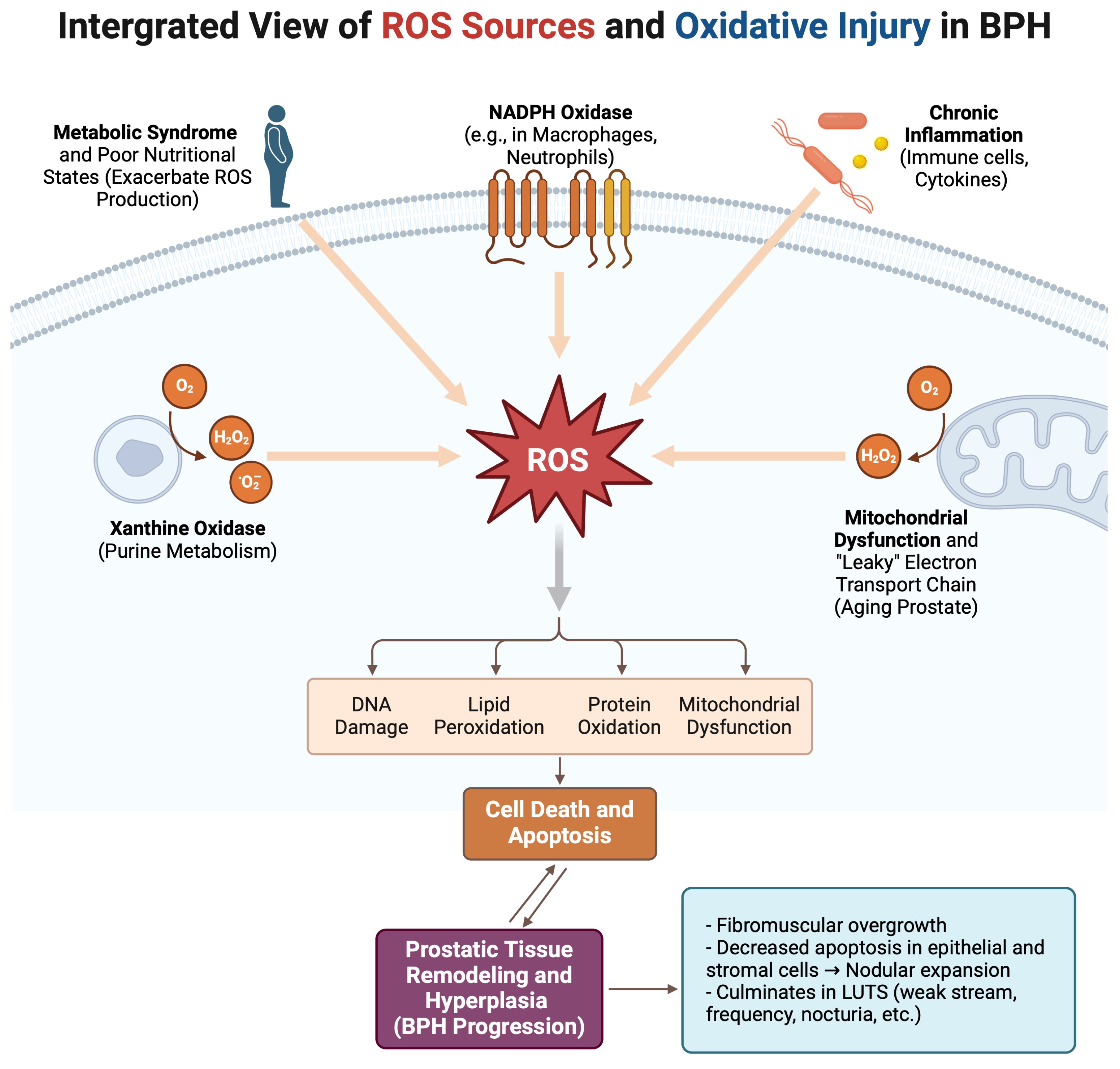 Diseases 13 00053 g001