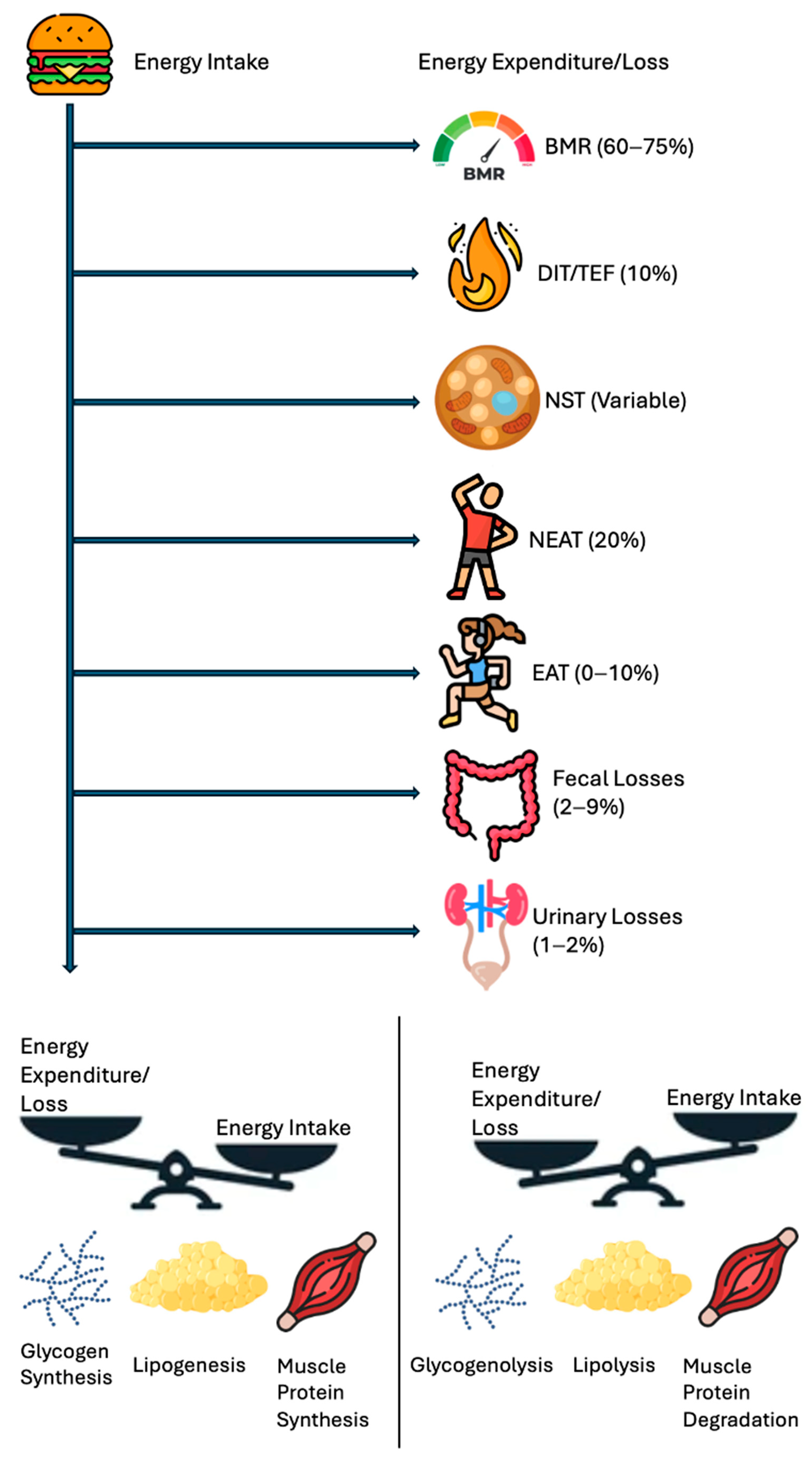 Diseases 13 00055 g002