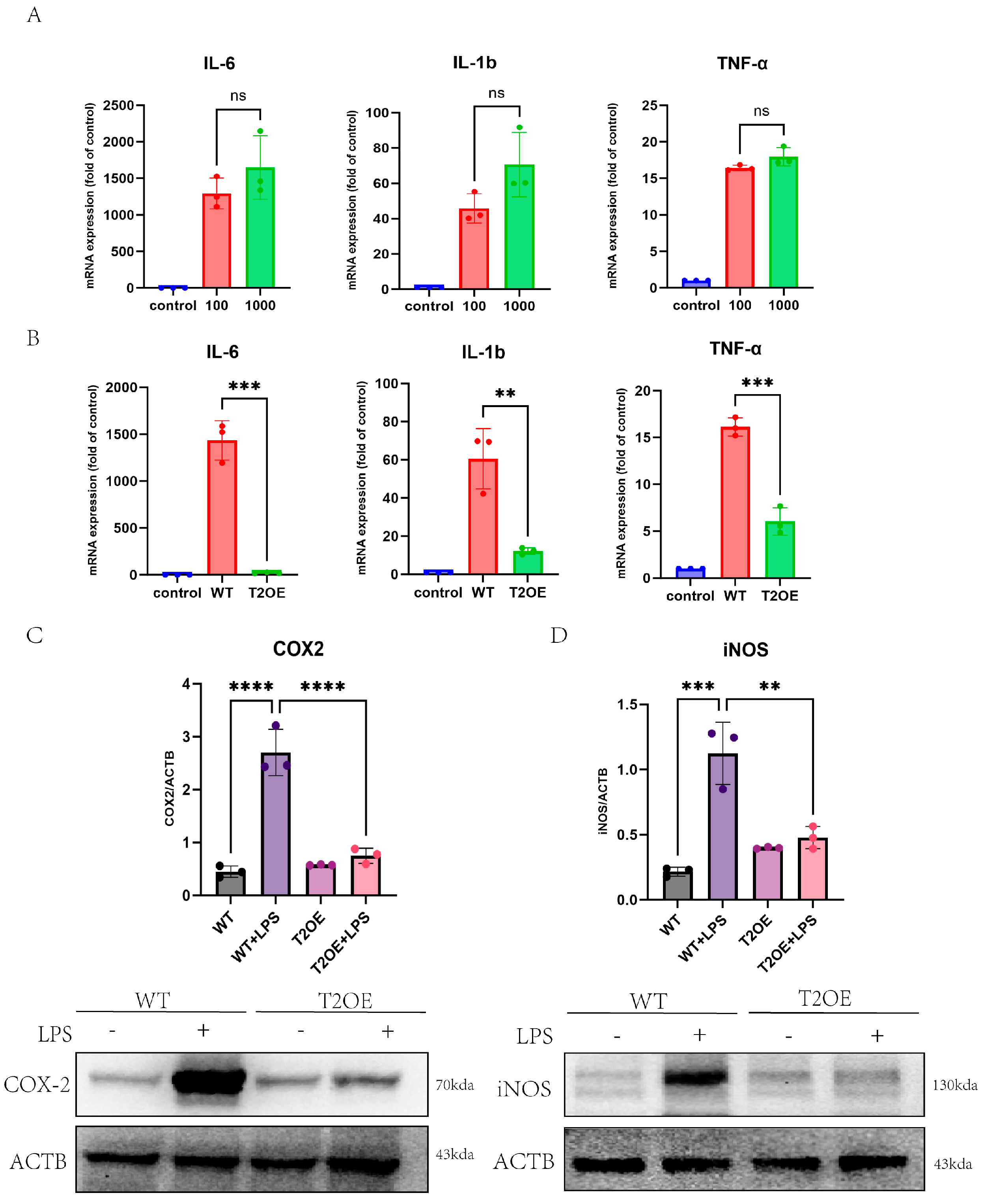 Diseases 13 00060 g001