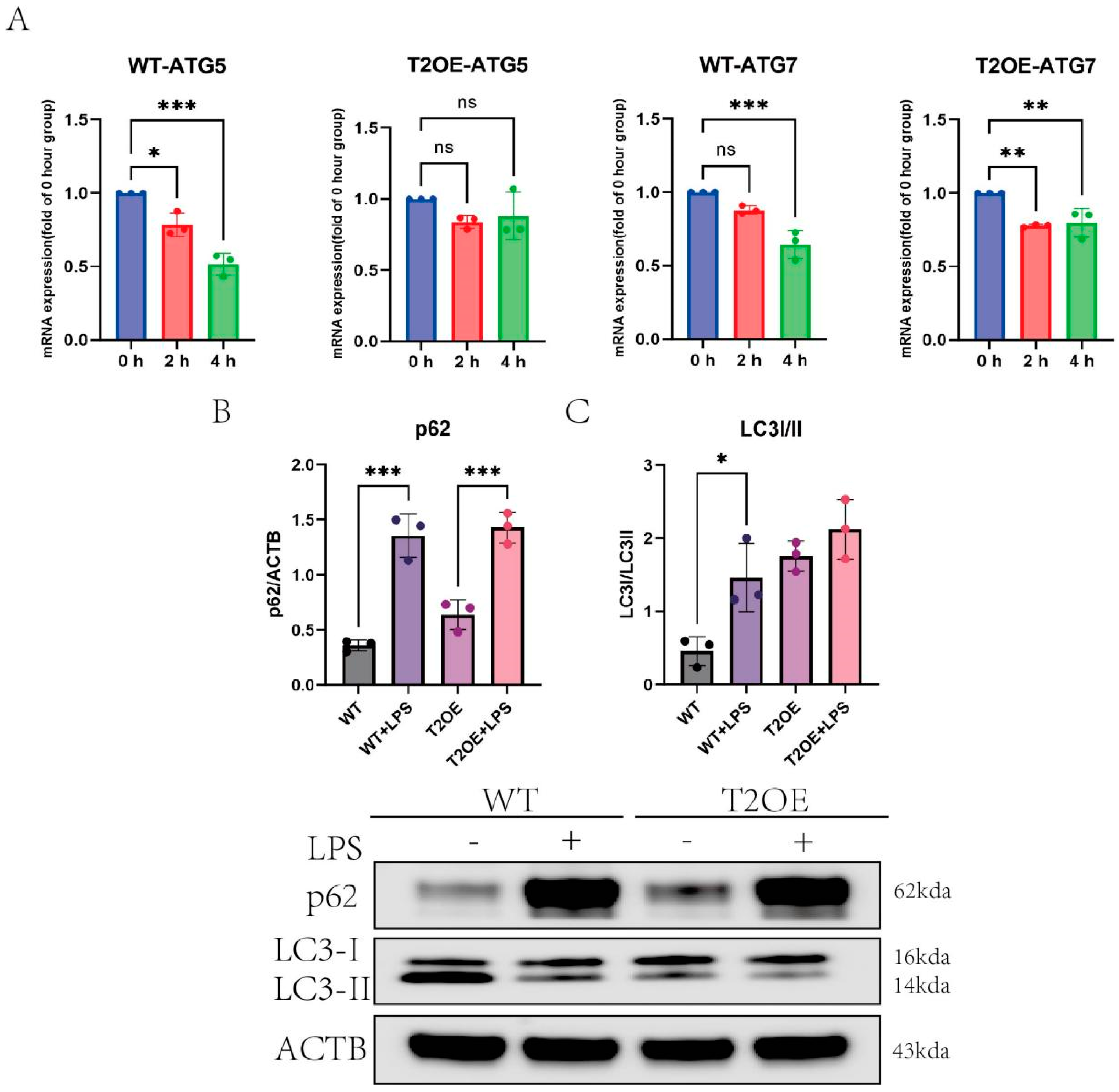Diseases 13 00060 g005