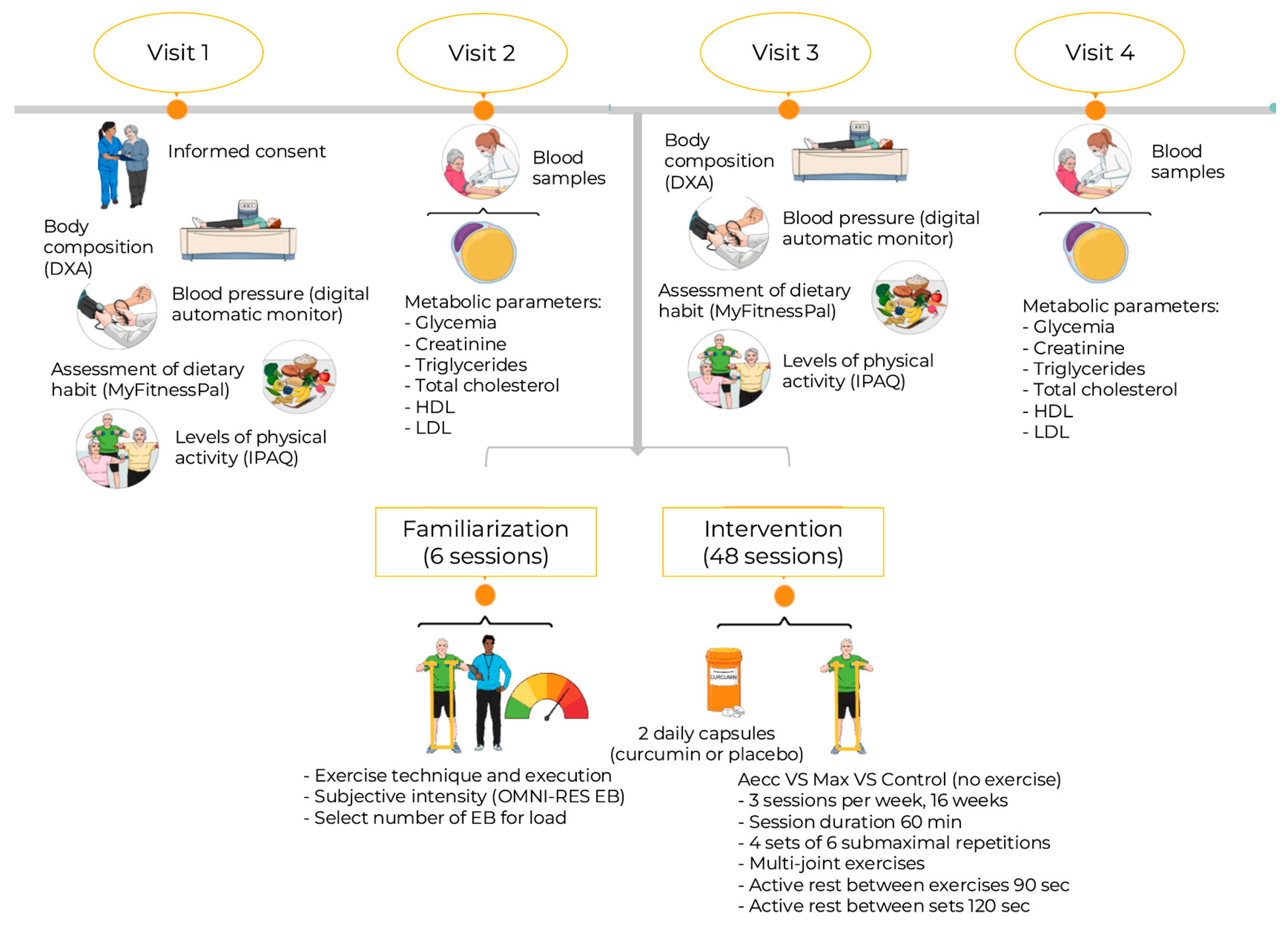 Diseases 13 00062 g001