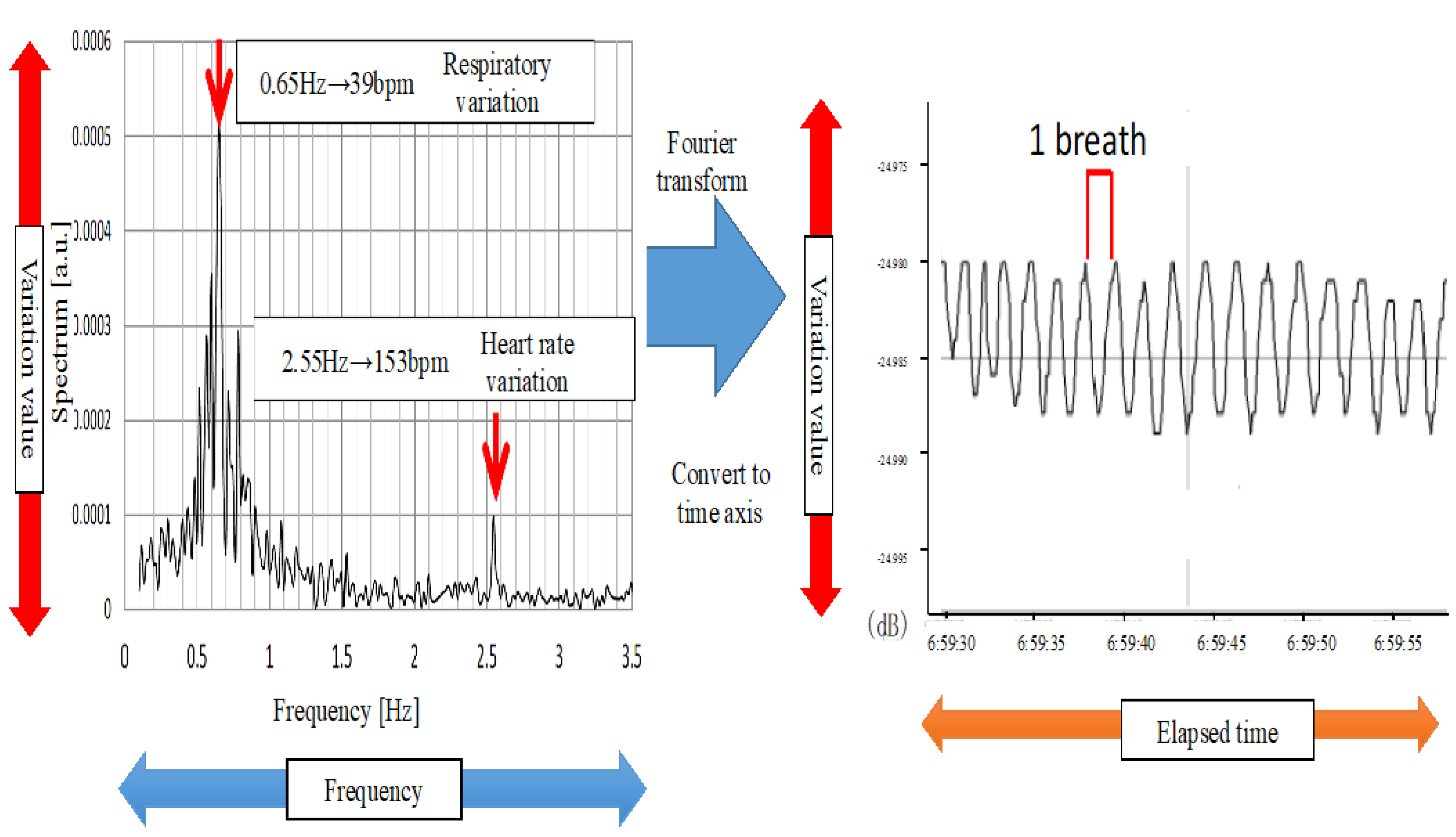 Diseases 13 00064 g002