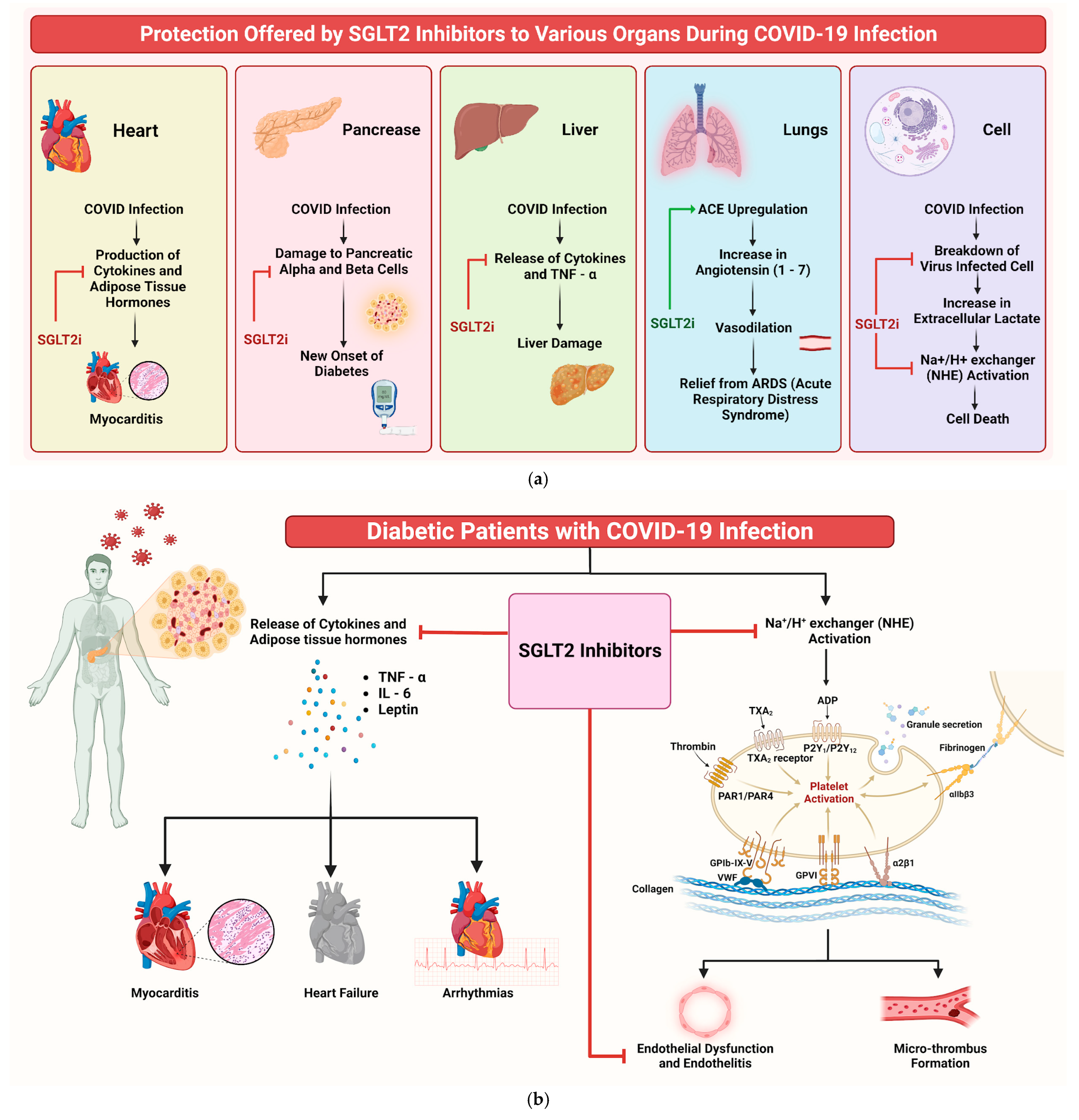Diseases 13 00067 g008 Diseases 13 00067 g008