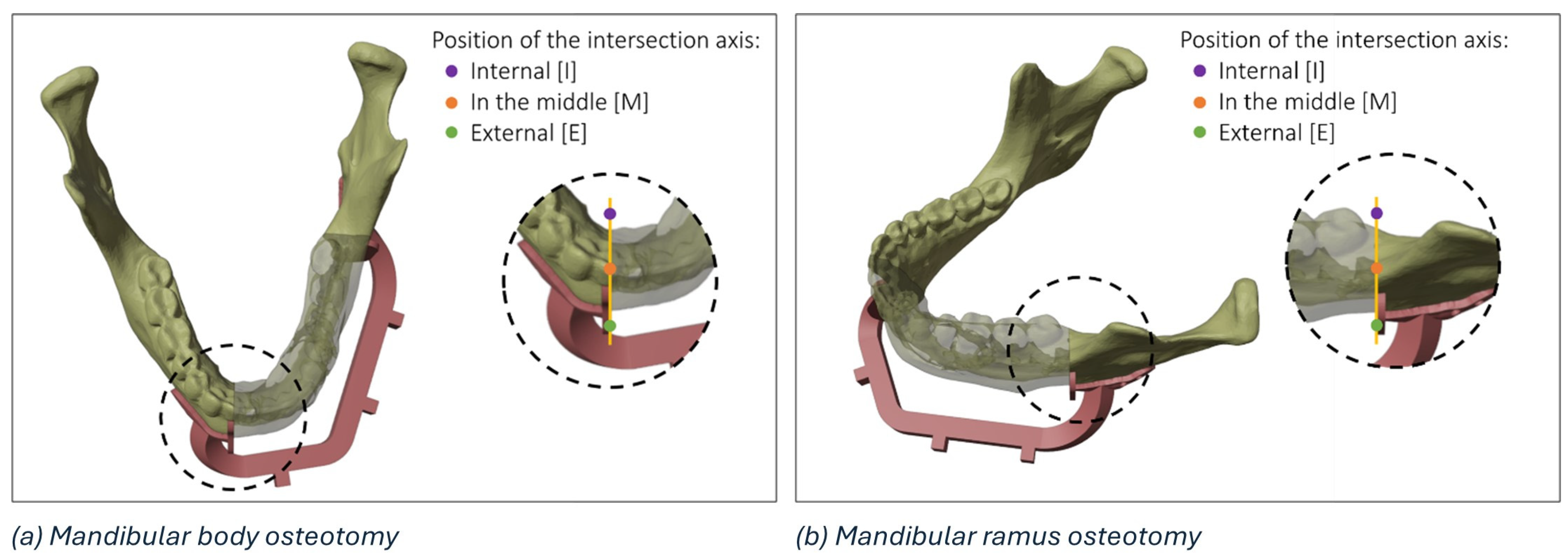 Diseases 13 00081 g003