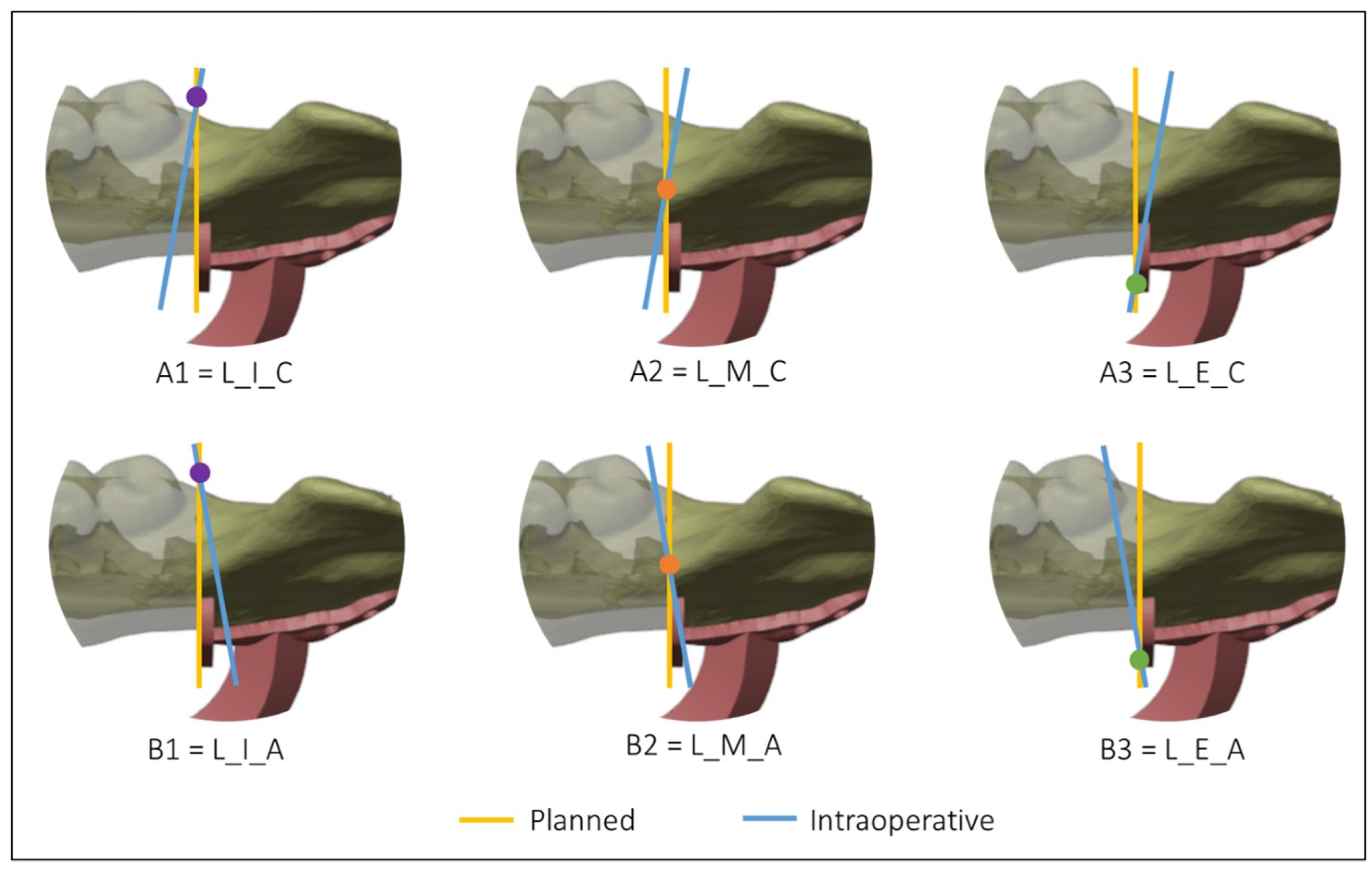 Diseases 13 00081 g004