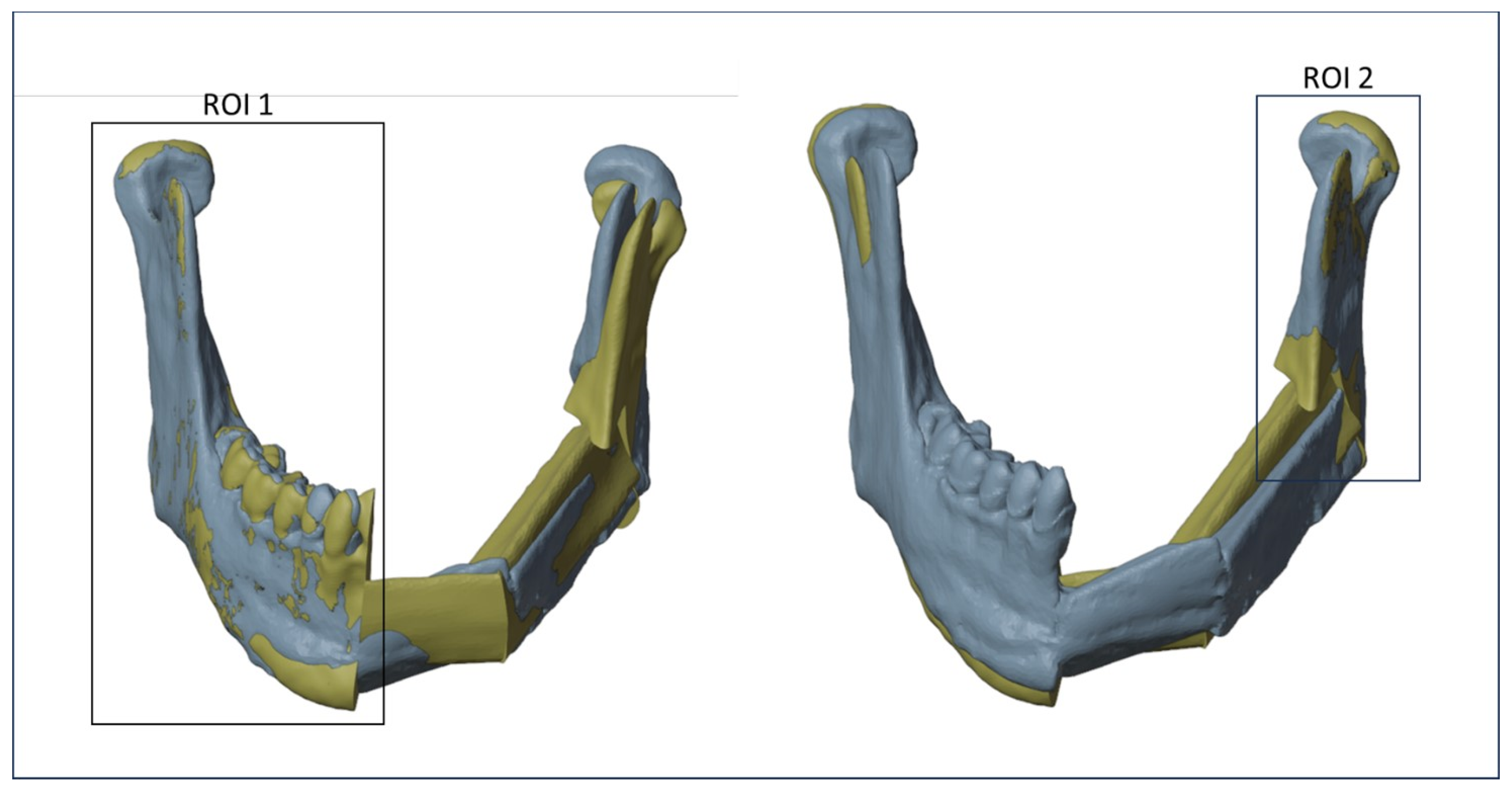 Diseases 13 00081 g006