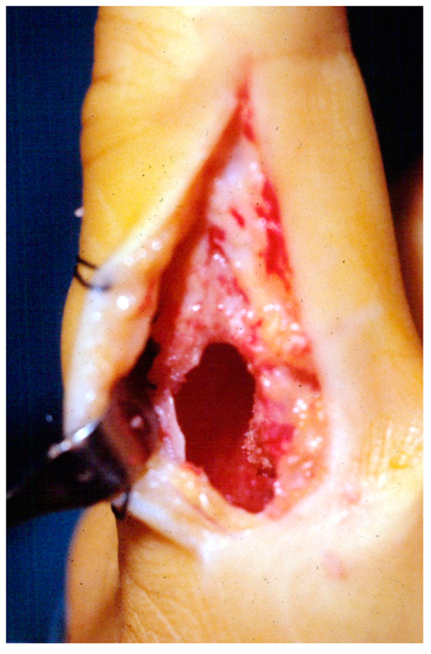 Diseases 13 00084 g002