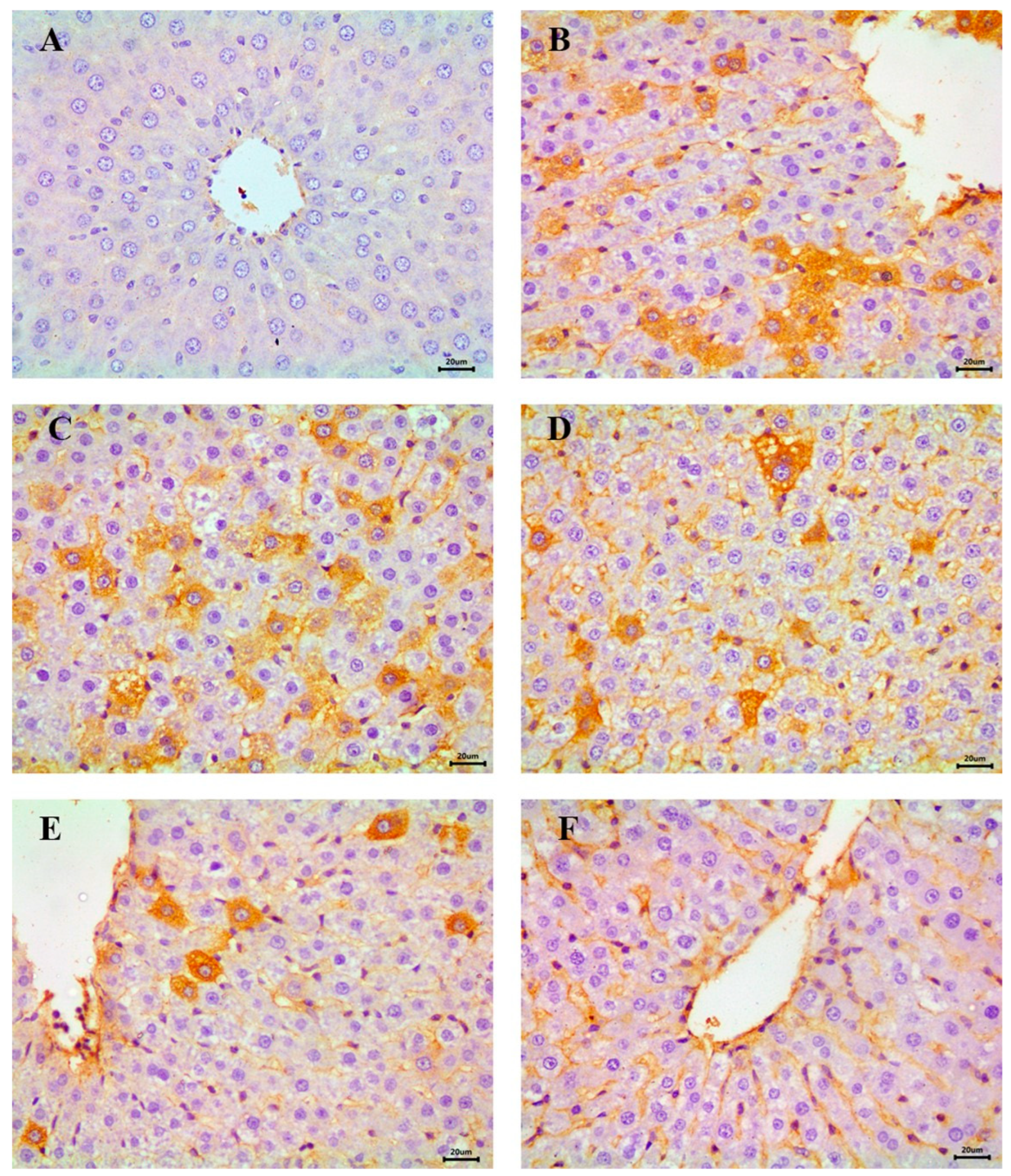 Diseases 13 00087 g011