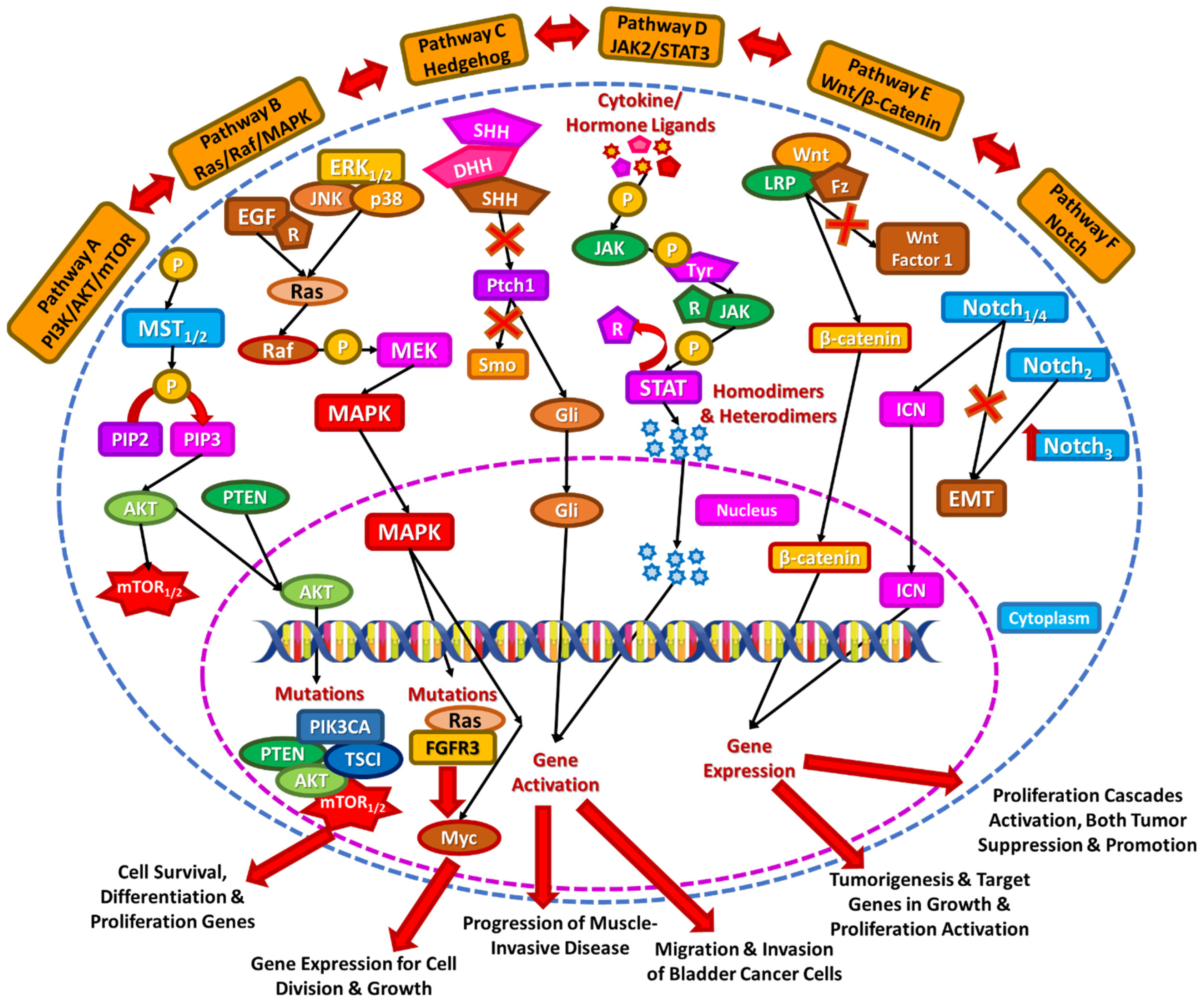 Diseases 13 00103 g001