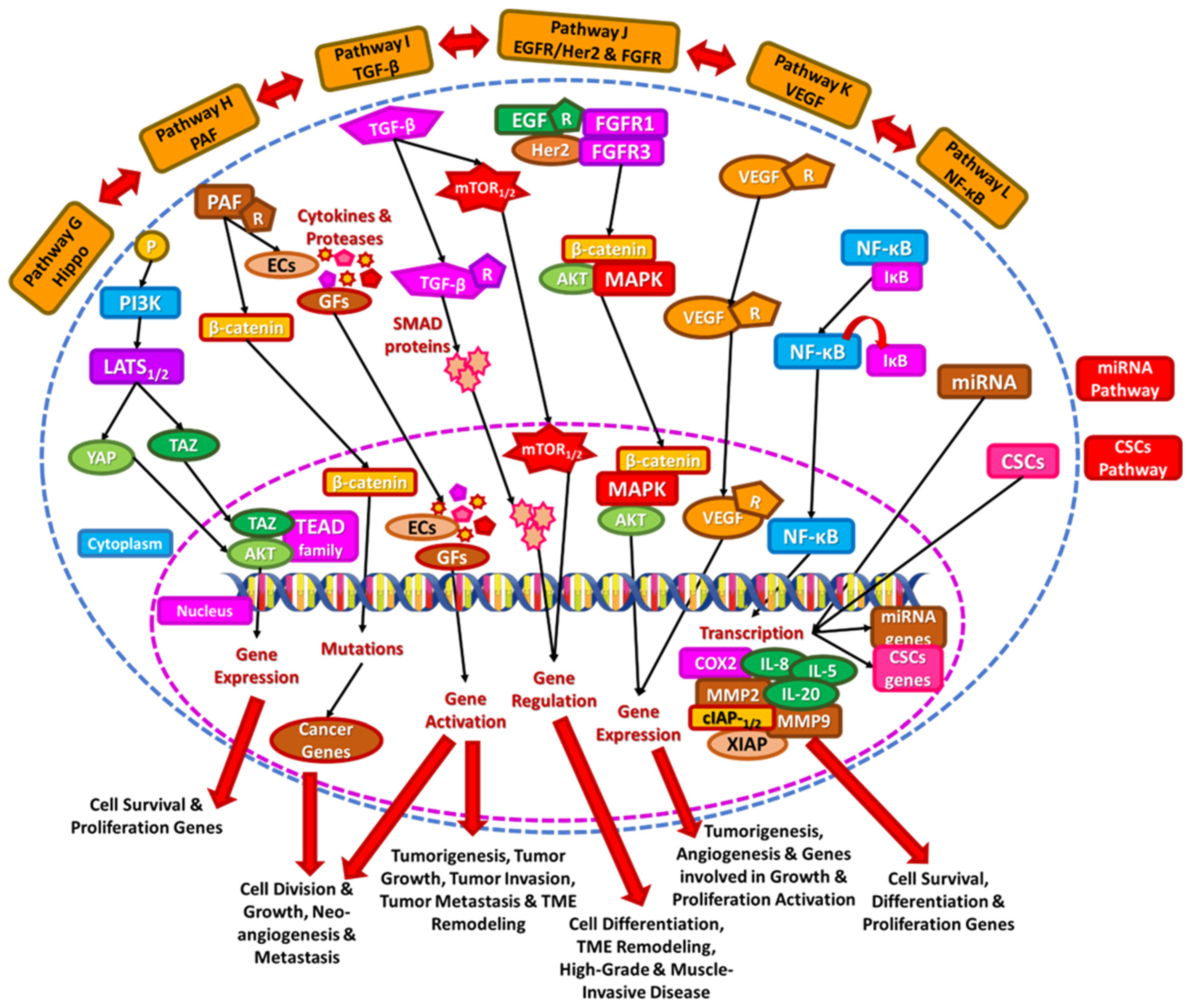 Diseases 13 00103 g002