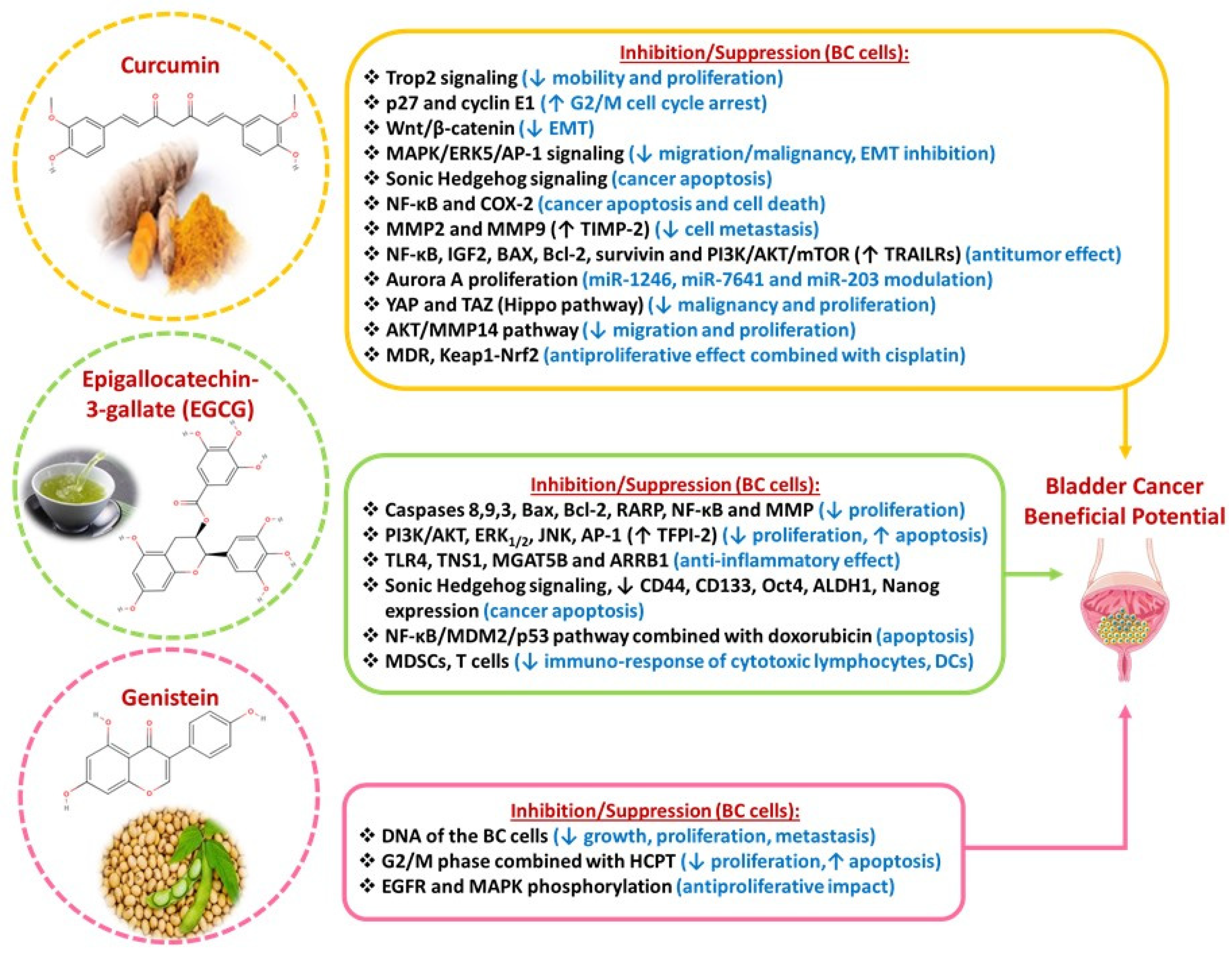 Diseases 13 00103 g003