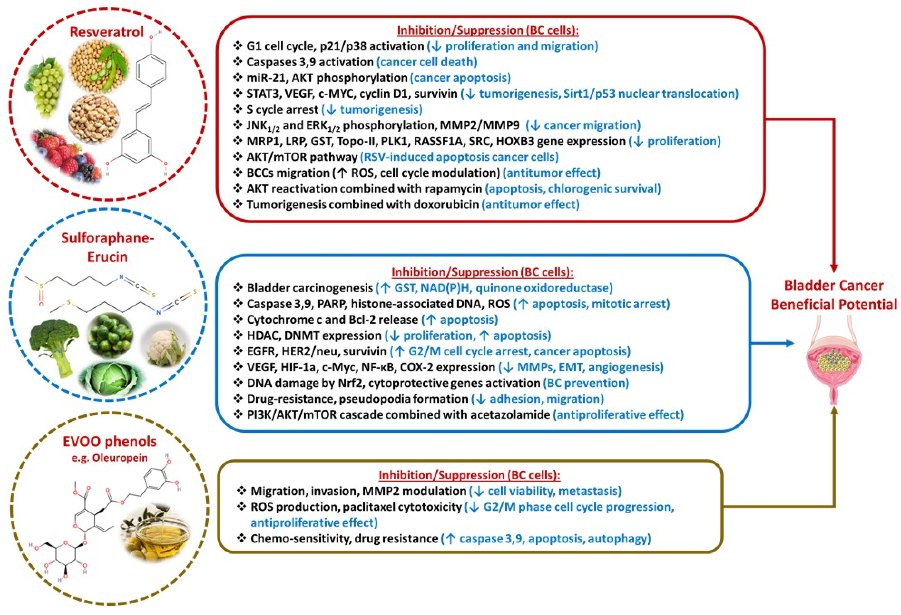 Diseases 13 00103 g004