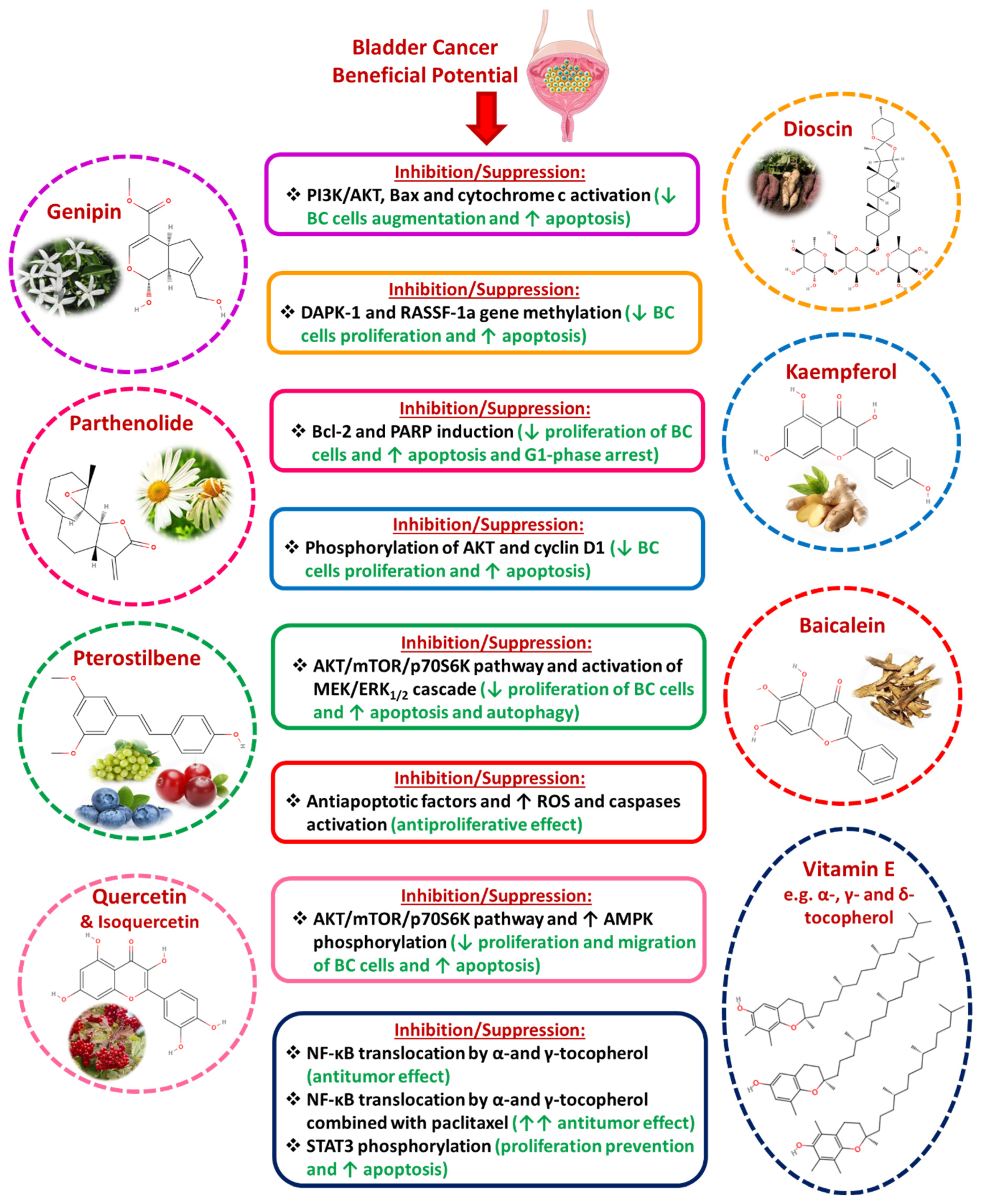 Diseases 13 00103 g005