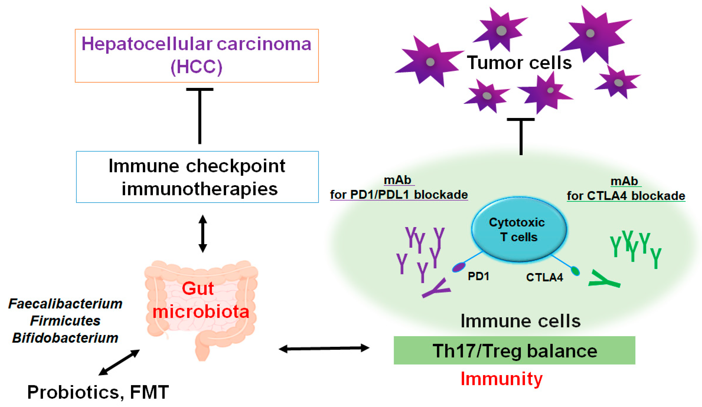 Diseases 13 00111 g002