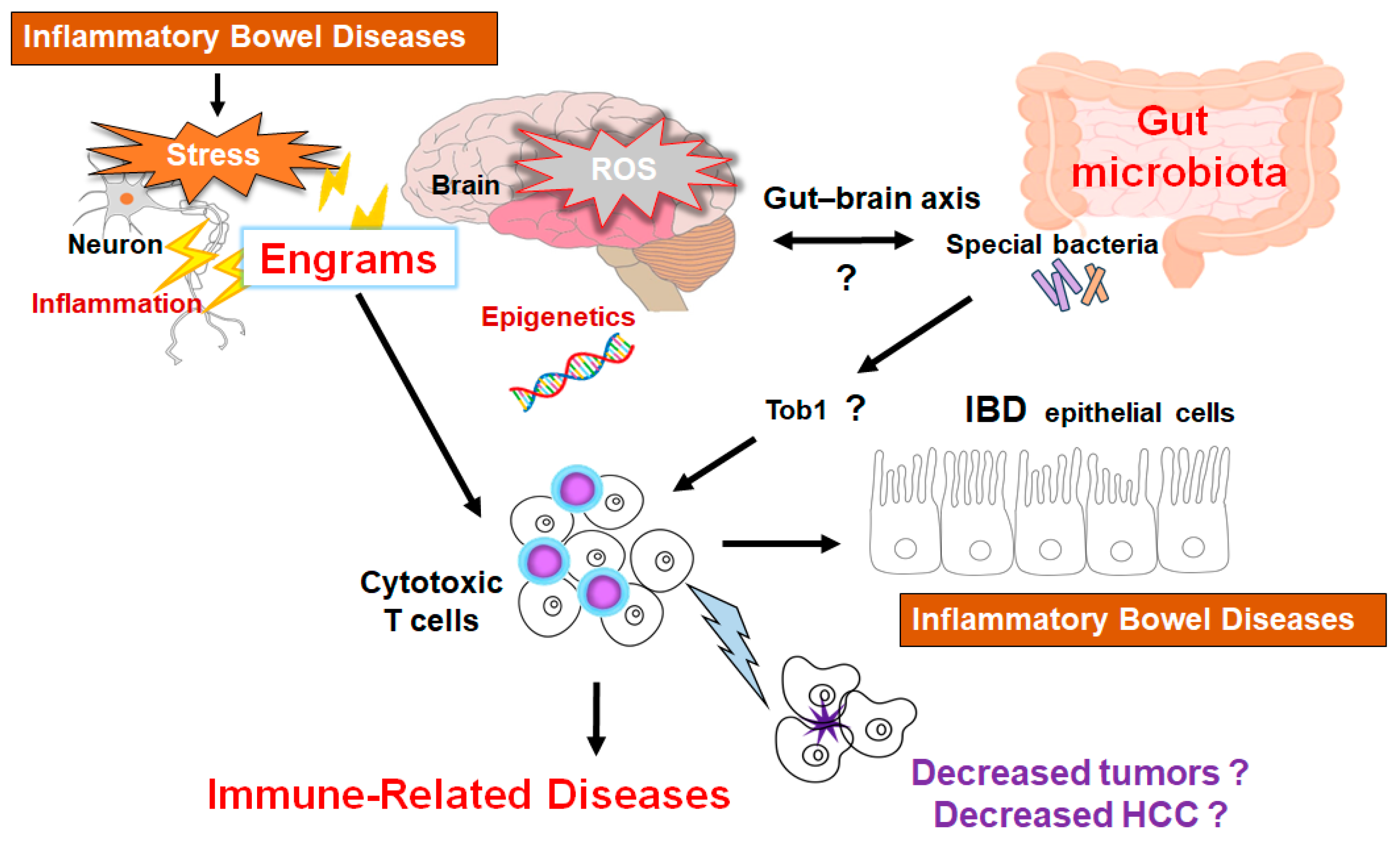 Diseases 13 00111 g003
