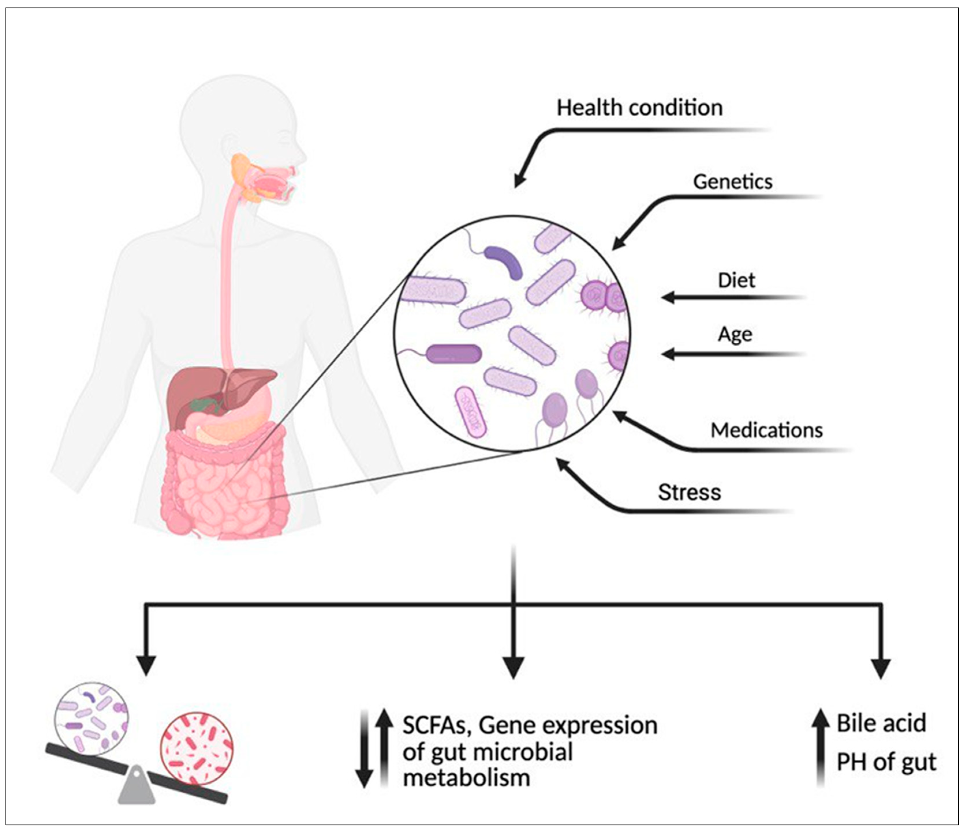 Diseases 13 00115 g004