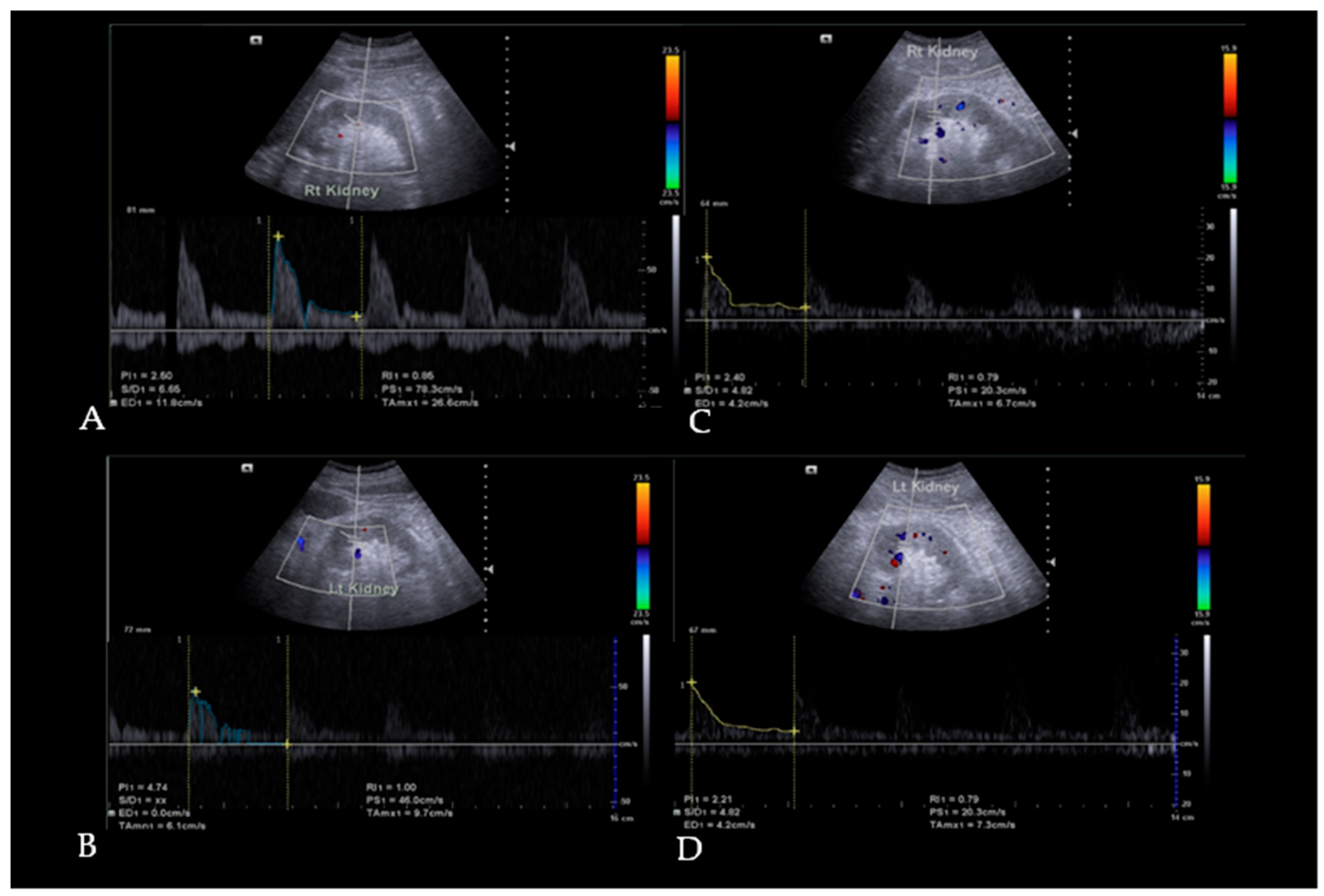 Diseases 13 00116 g001