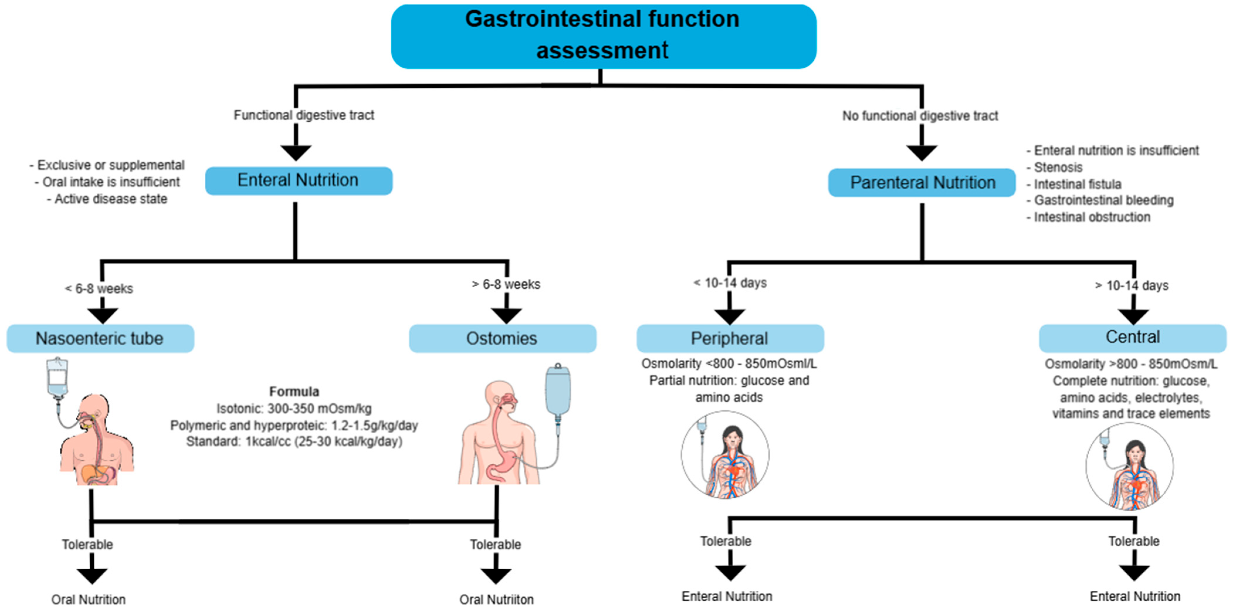 Diseases 13 00139 g004