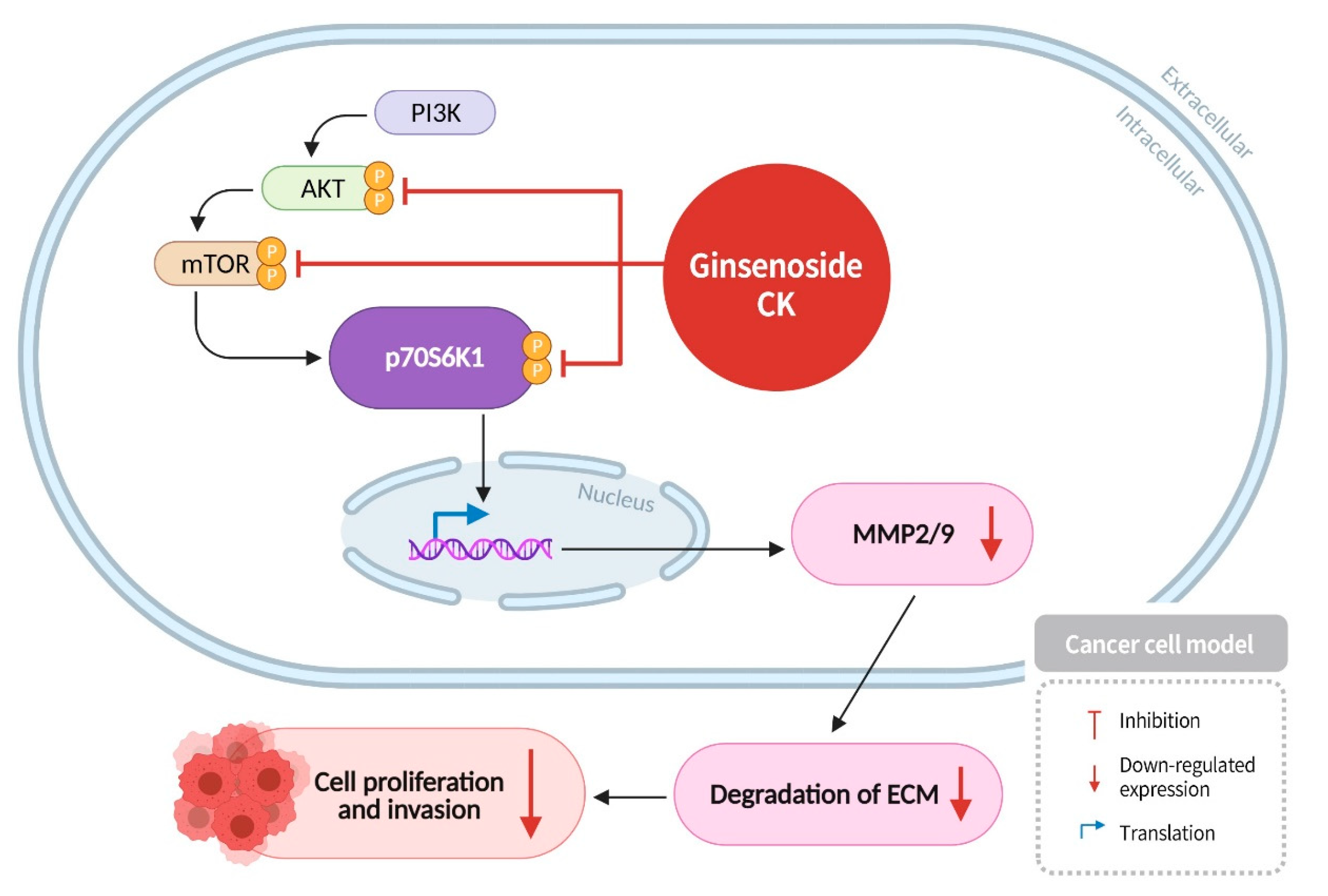 Diseases 13 00143 g004