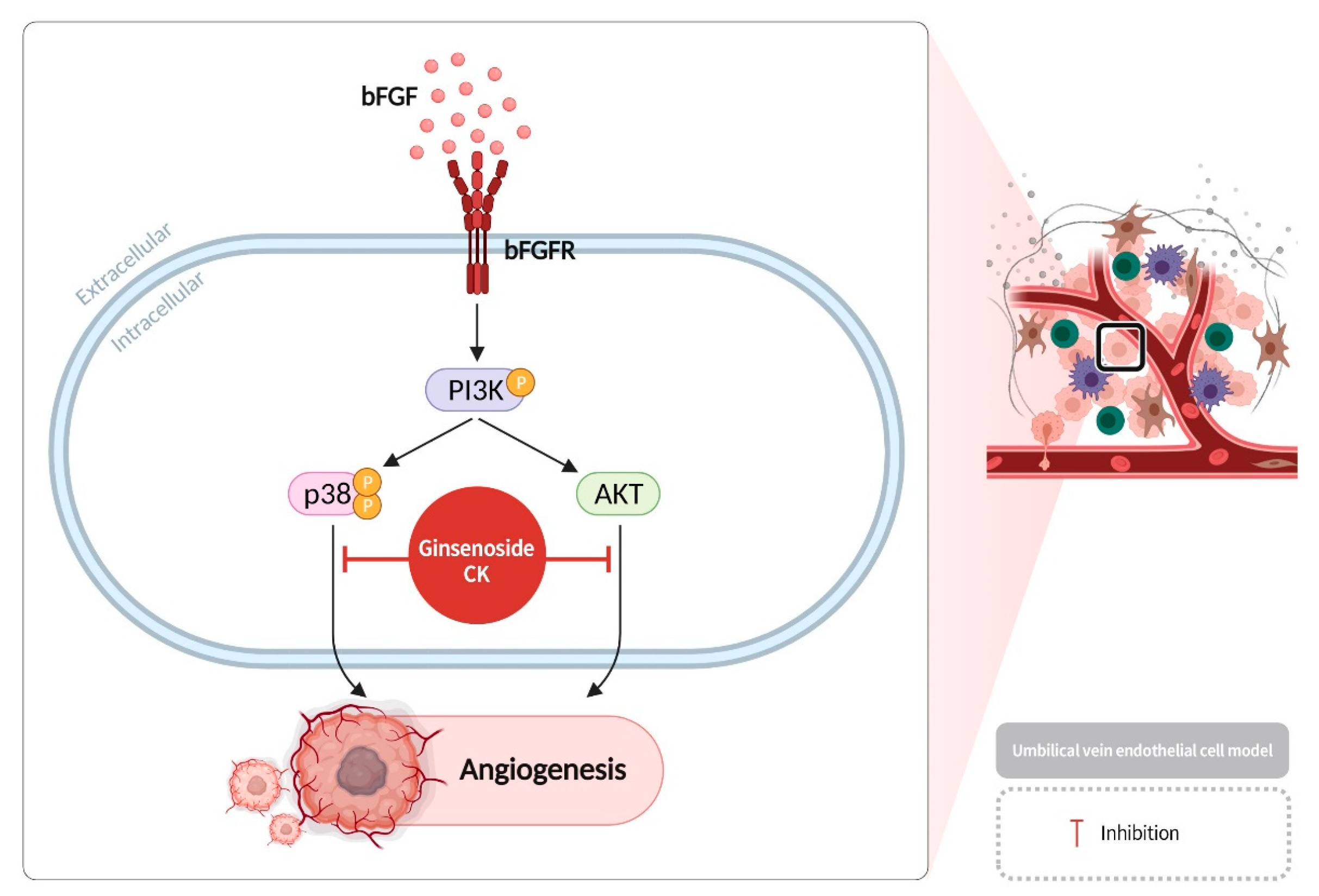 Diseases 13 00143 g006