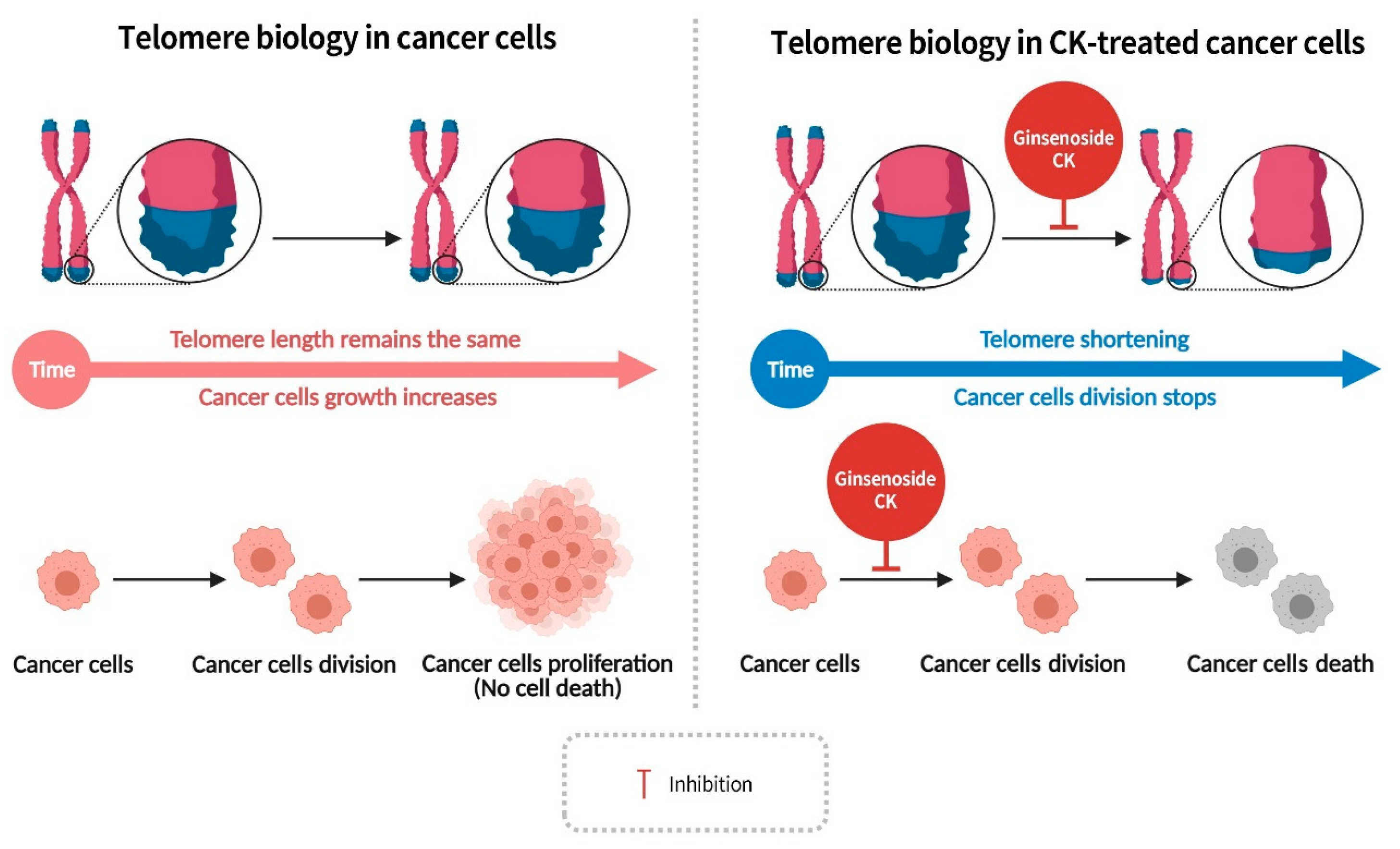 Diseases 13 00143 g007